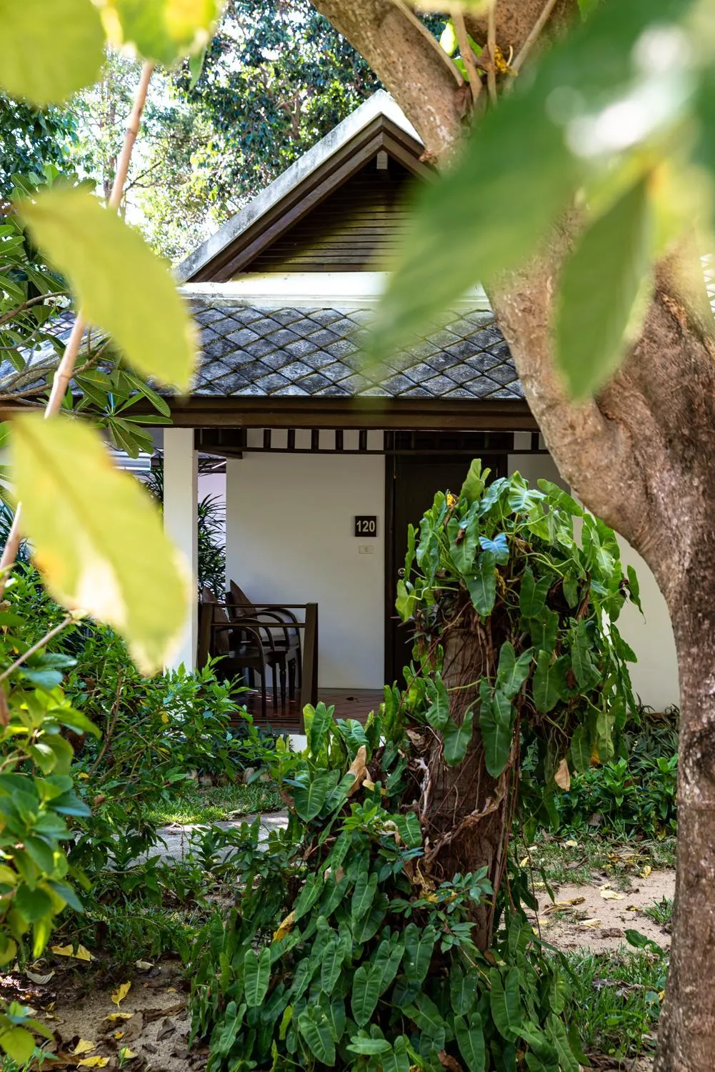 Garden in The Hive Hotel
