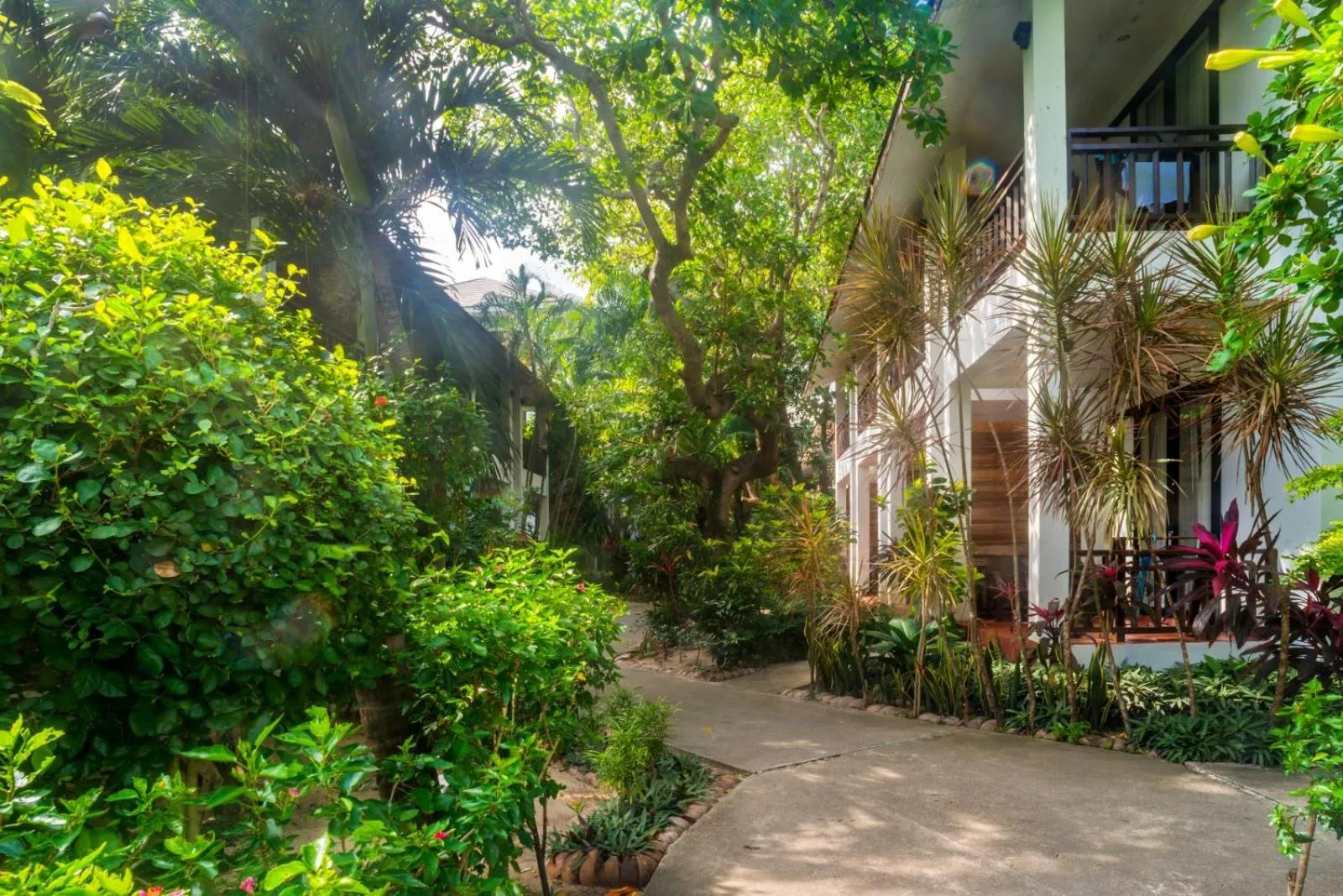 Garden in The Hive Hotel