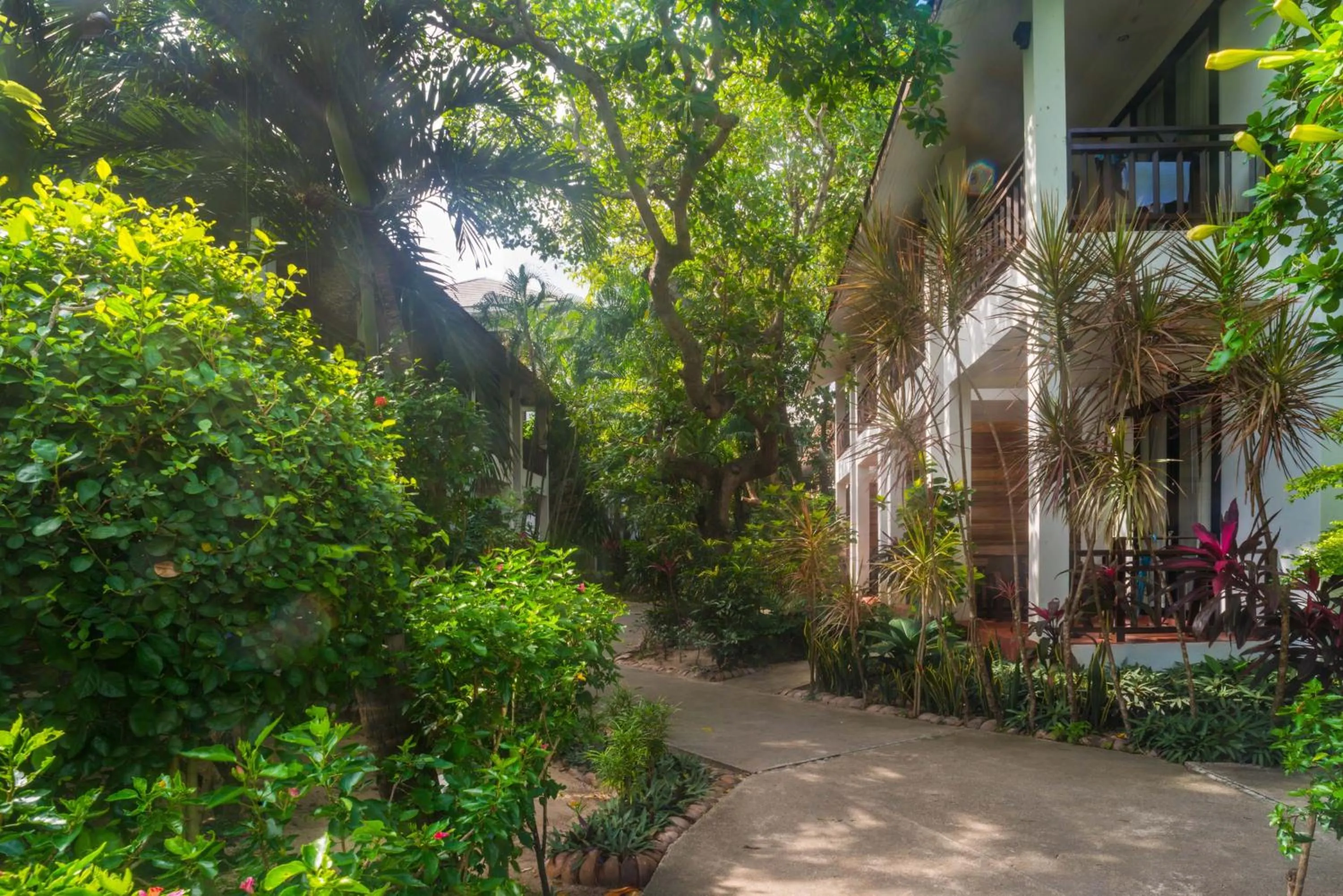 Natural landscape in The Hive Hotel