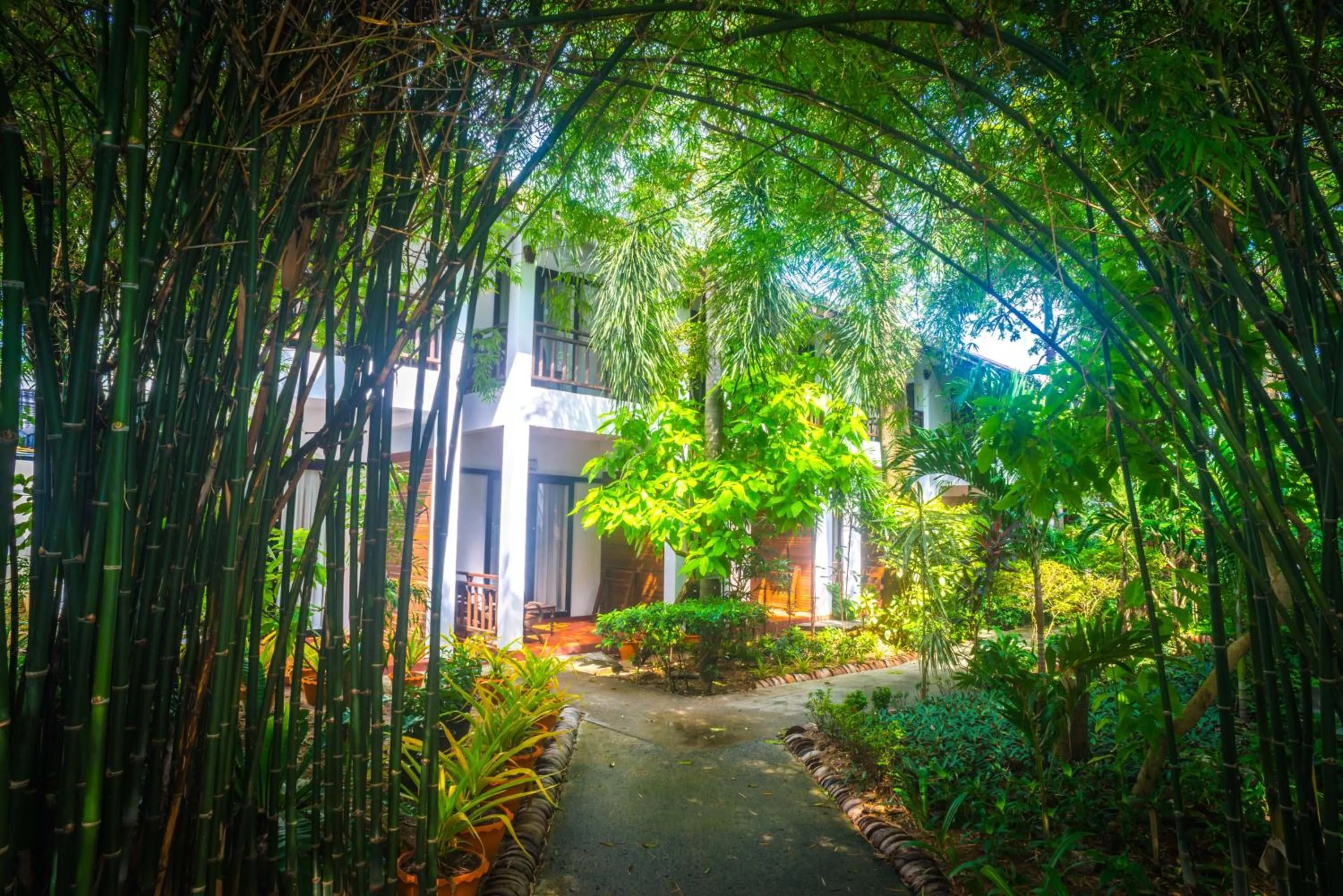 Natural landscape in The Hive Hotel