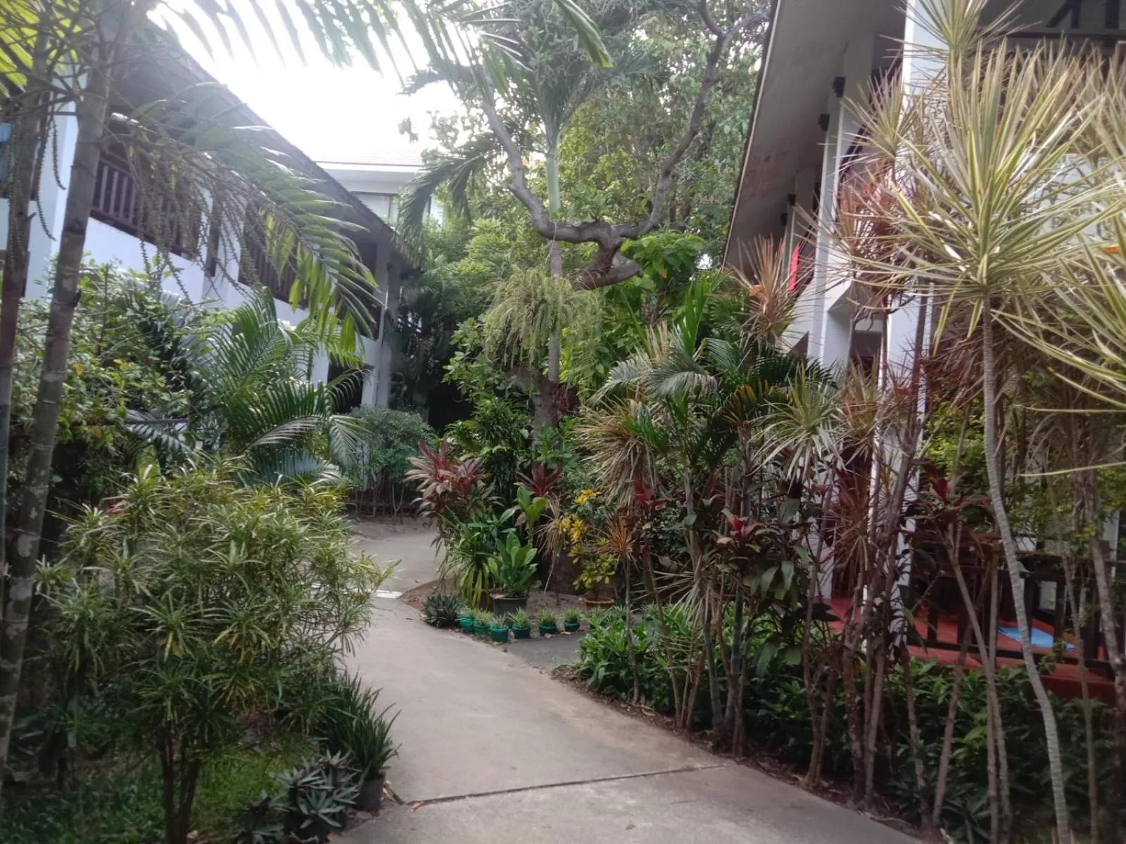 Property building in The Hive Hotel