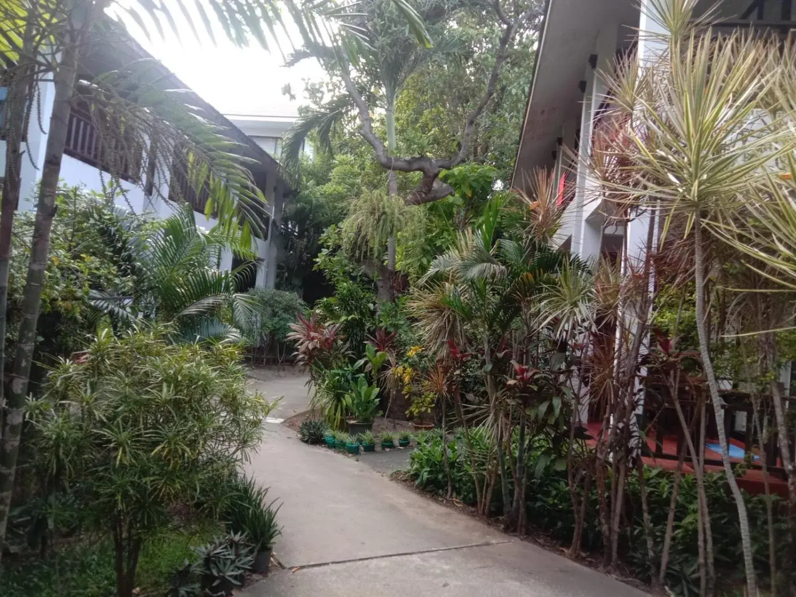 Property building in The Hive Hotel Property building in The Hive Hotel