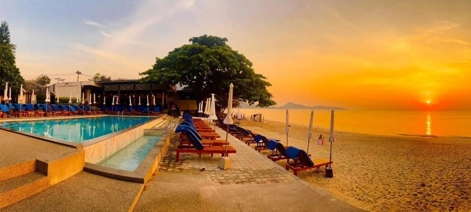 Restaurant/places to eat in The Hive Hotel