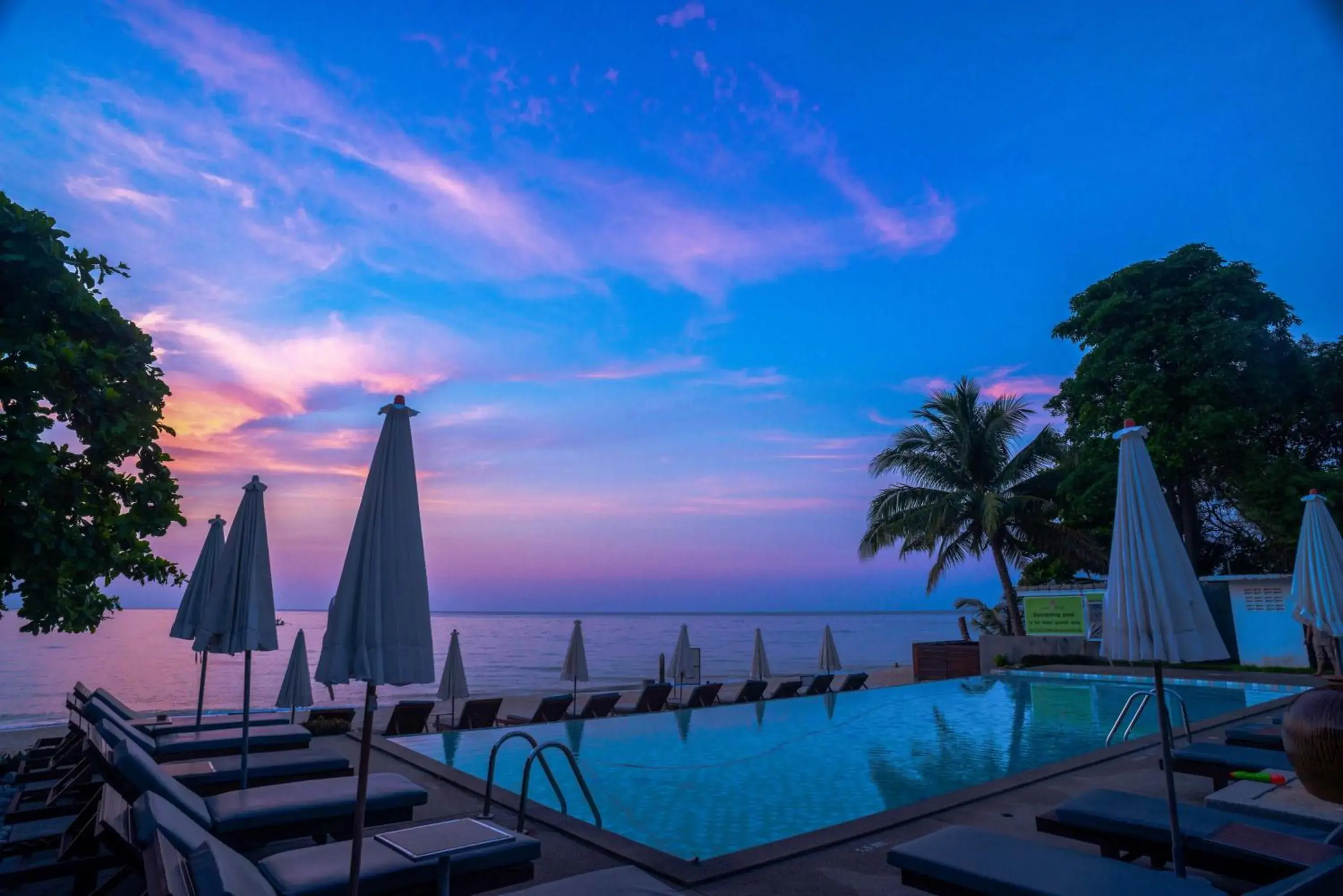 Swimming pool in The Hive Hotel Swimming pool in The Hive Hotel