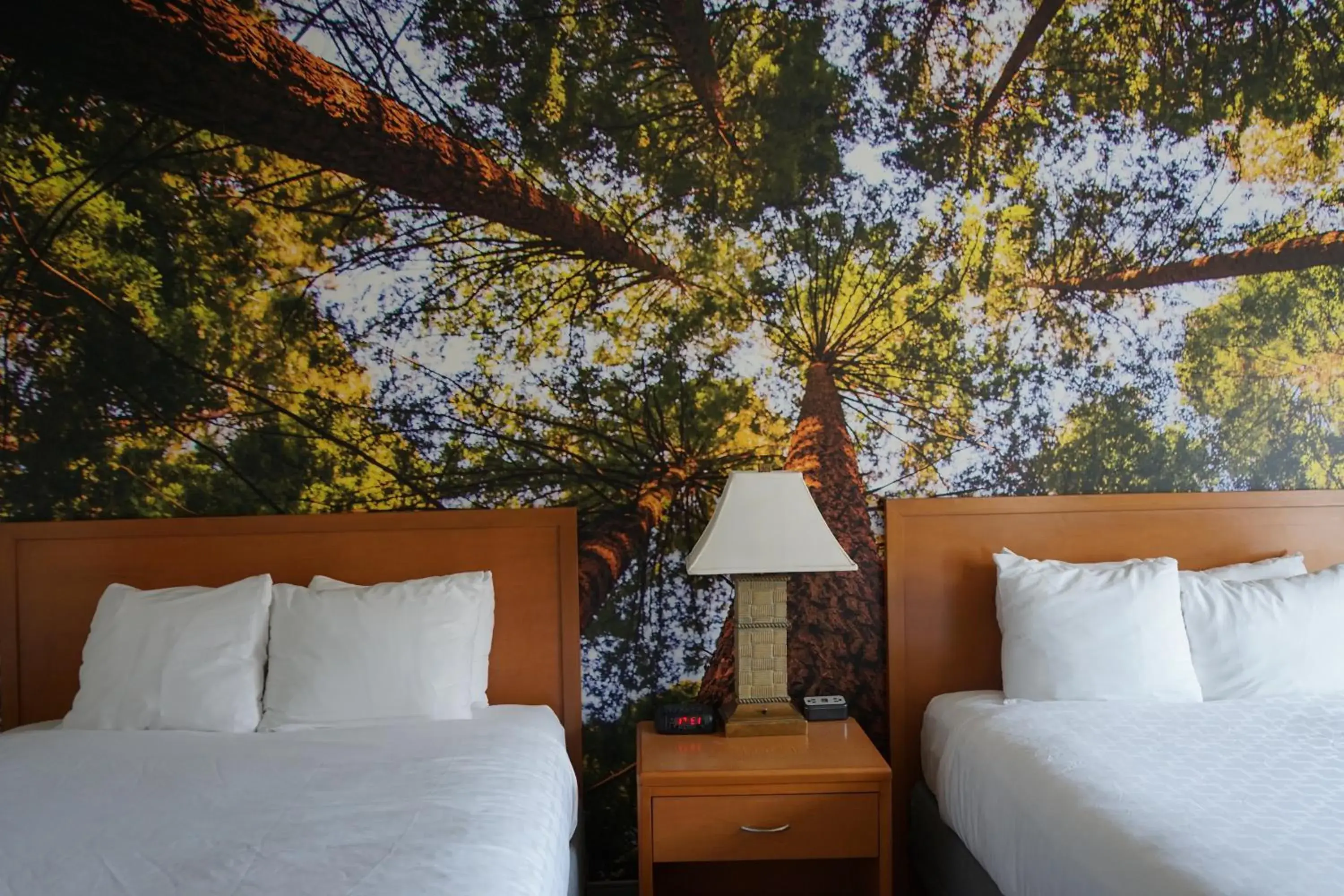 Queen Room with Two Queen Beds - Accessible/Non-Smoking in Comfort Inn Hanford Lemoore Queen Room with Two Queen Beds - Accessible/Non-Smoking in Comfort Inn Hanford Lemoore