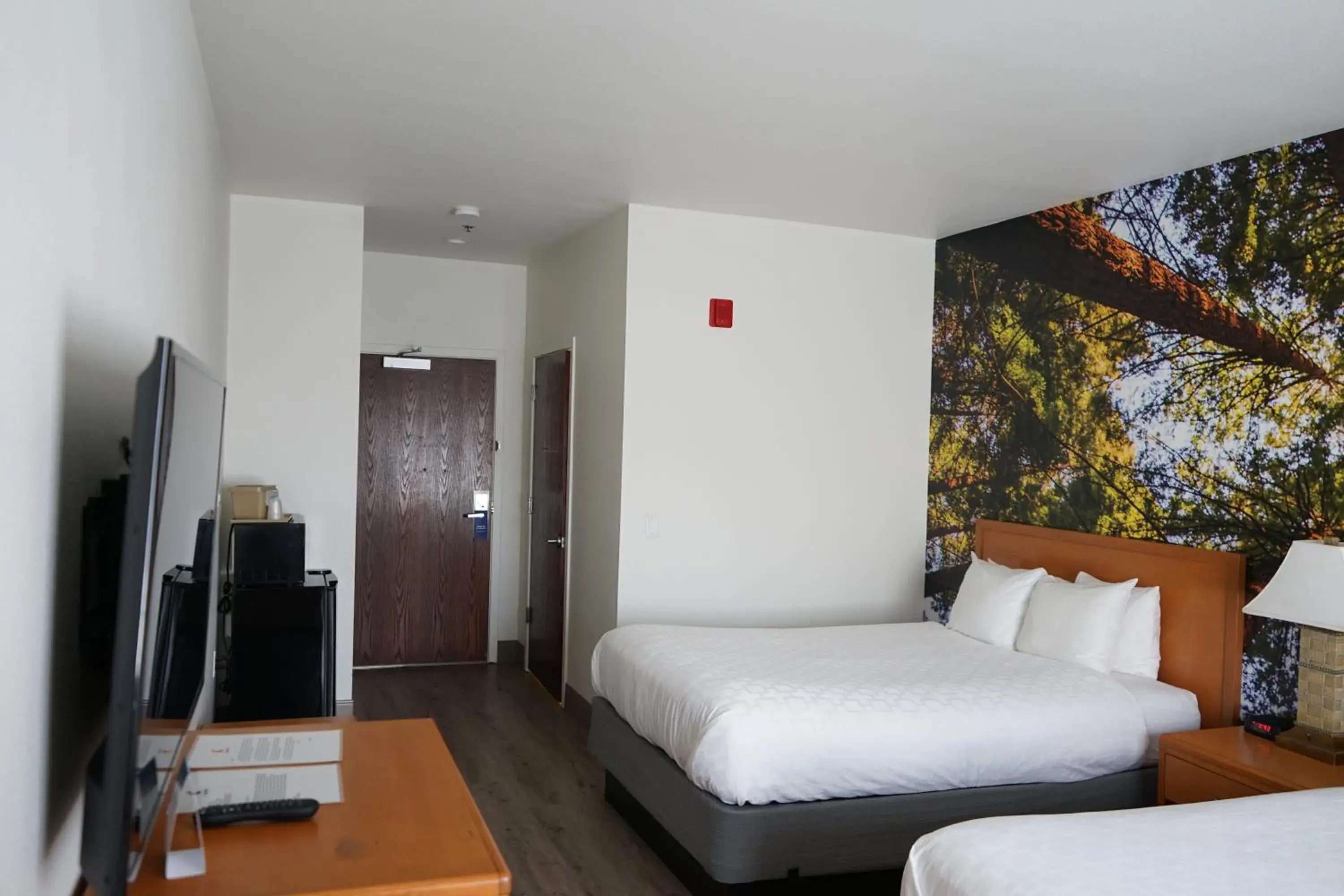 Queen Room with Two Queen Beds - Non Smoking in Comfort Inn Hanford Lemoore Queen Room with Two Queen Beds - Non Smoking in Comfort Inn Hanford Lemoore