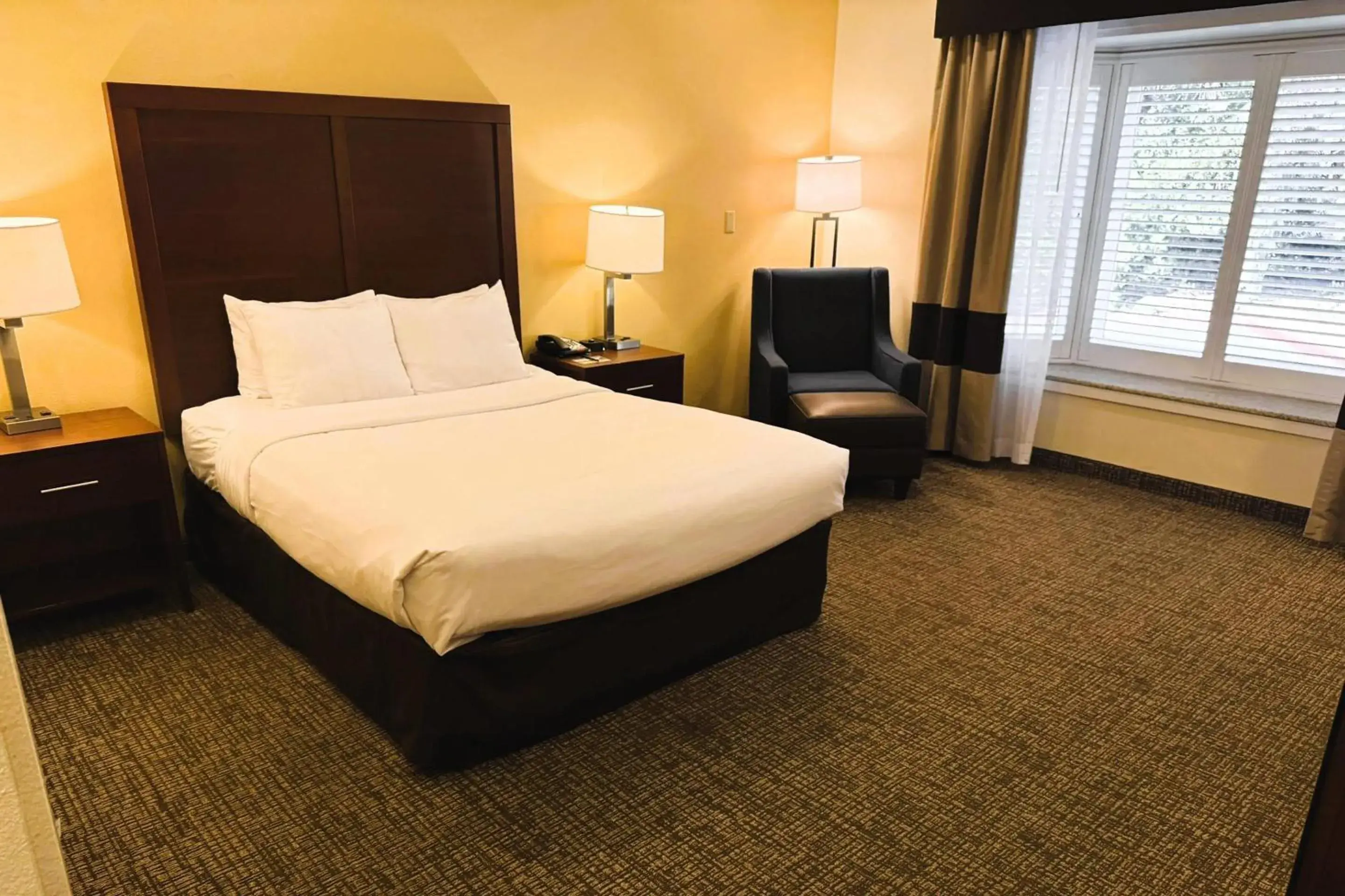 Bedroom, Bed in Comfort Inn Monterey Peninsula Airport Bedroom, Bed in Comfort Inn Monterey Peninsula Airport