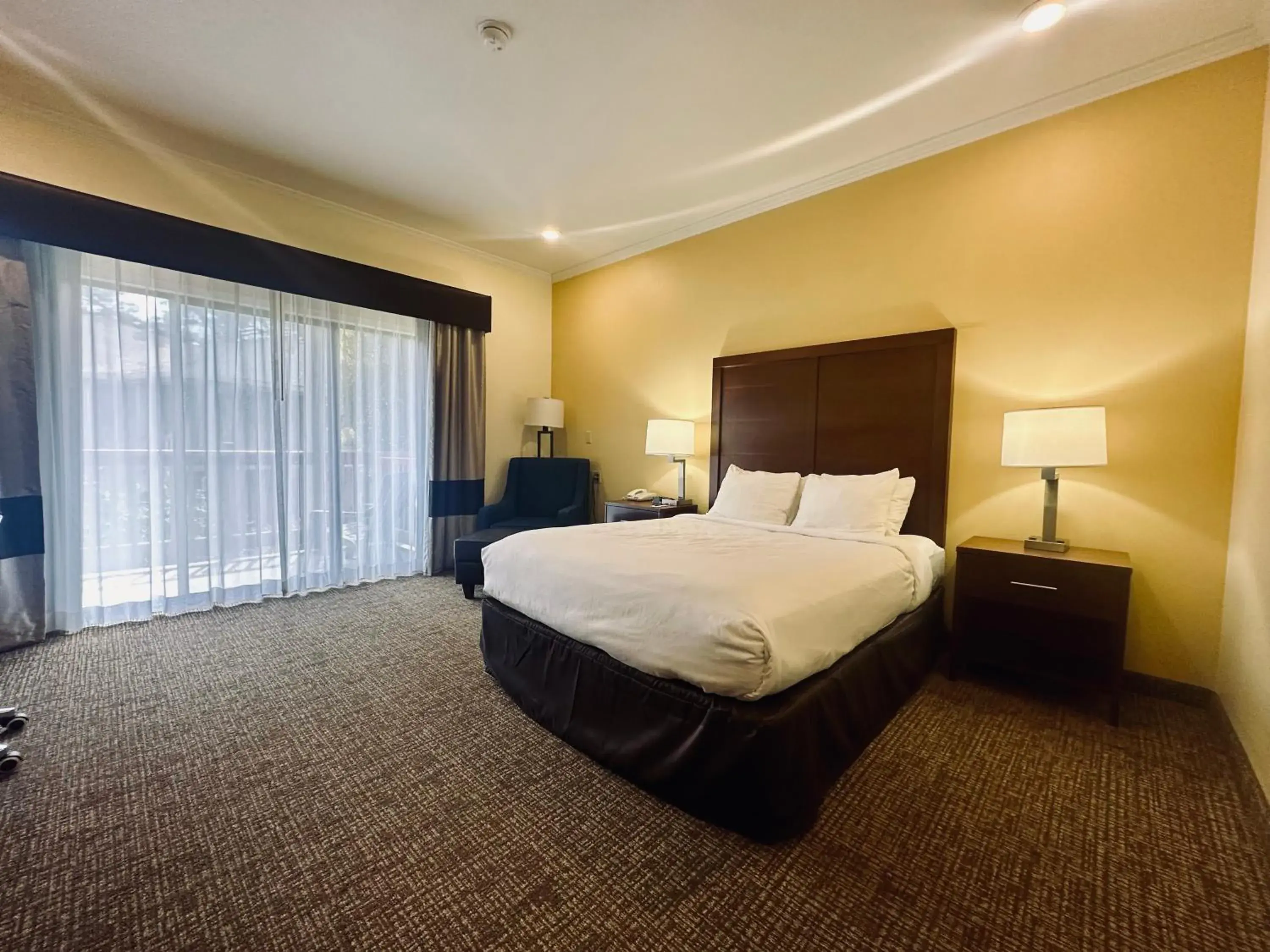 Queen Room - Accessible/Non-Smoking in Comfort Inn Monterey Peninsula Airport Queen Room - Accessible/Non-Smoking in Comfort Inn Monterey Peninsula Airport