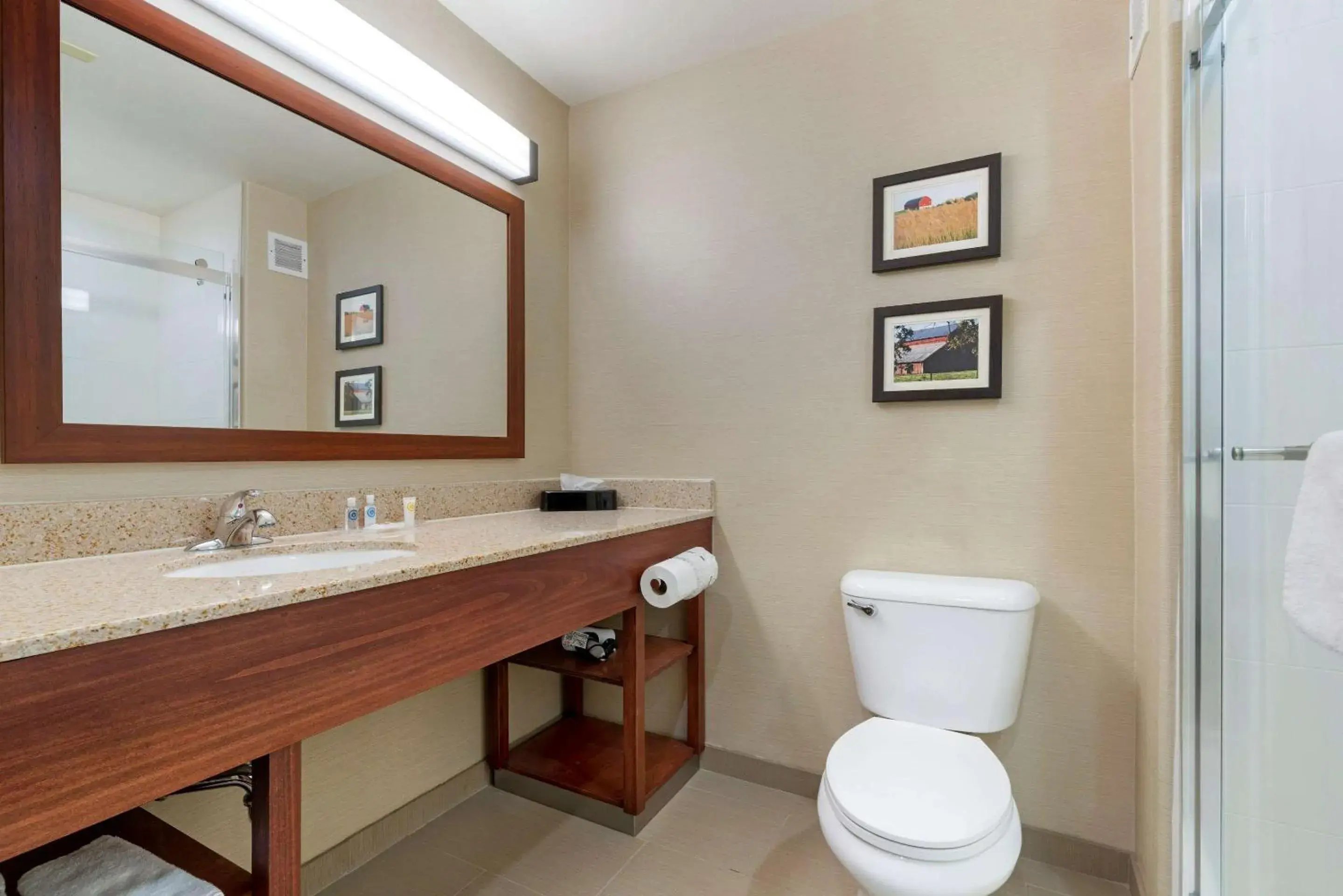 Photo of the whole room in Comfort Suites Marysville-Yuba City Photo of the whole room in Comfort Suites Marysville-Yuba City