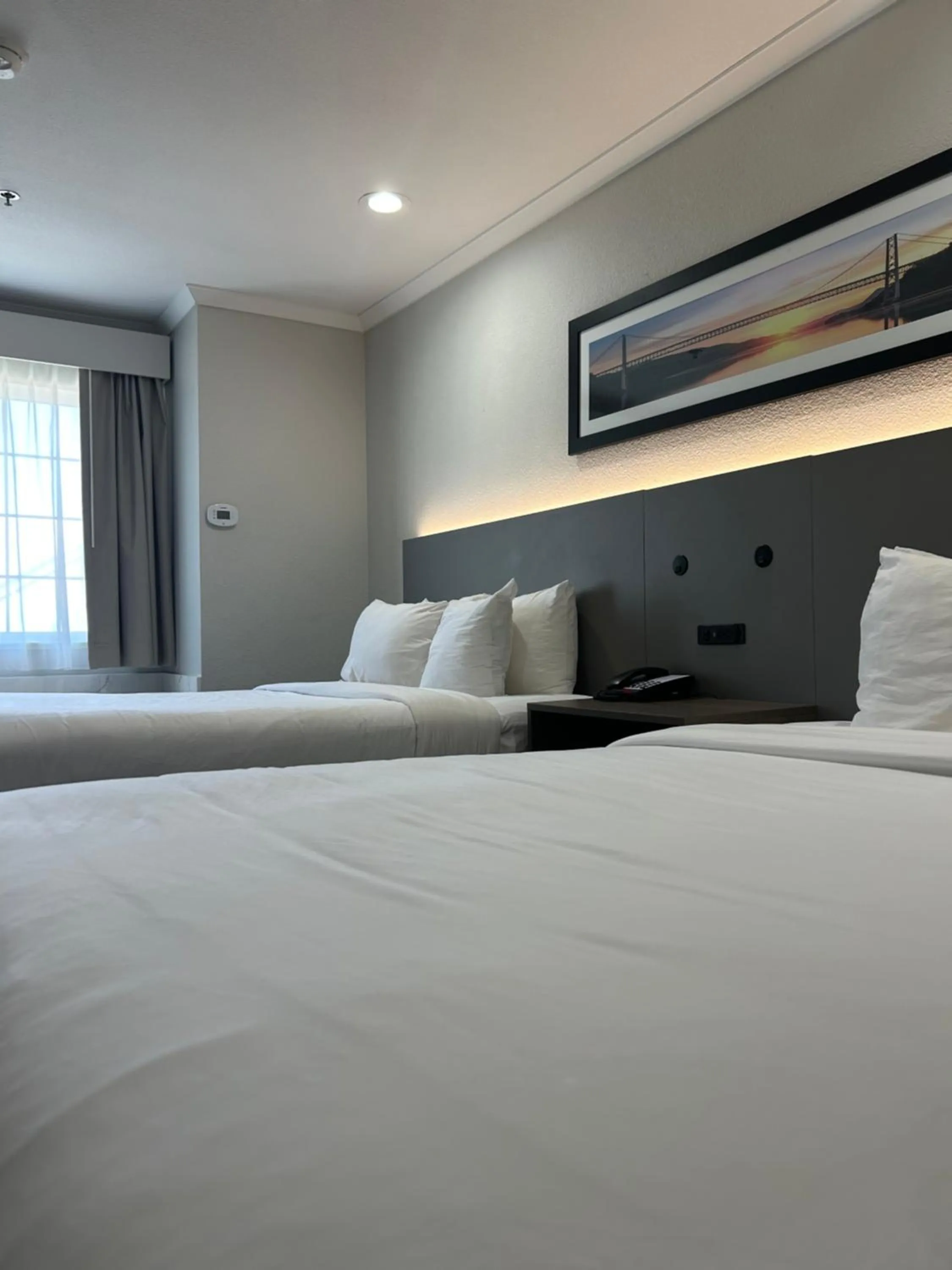 Bedroom, Bed in Quality Inn & Suites Santa Rosa South