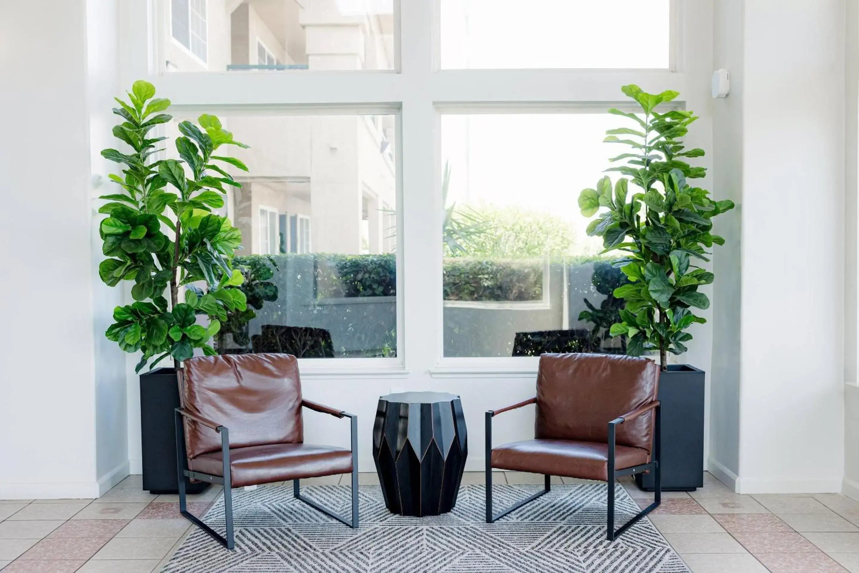 Lobby or reception in Quality Inn & Suites Lathrop Lobby or reception in Quality Inn & Suites Lathrop