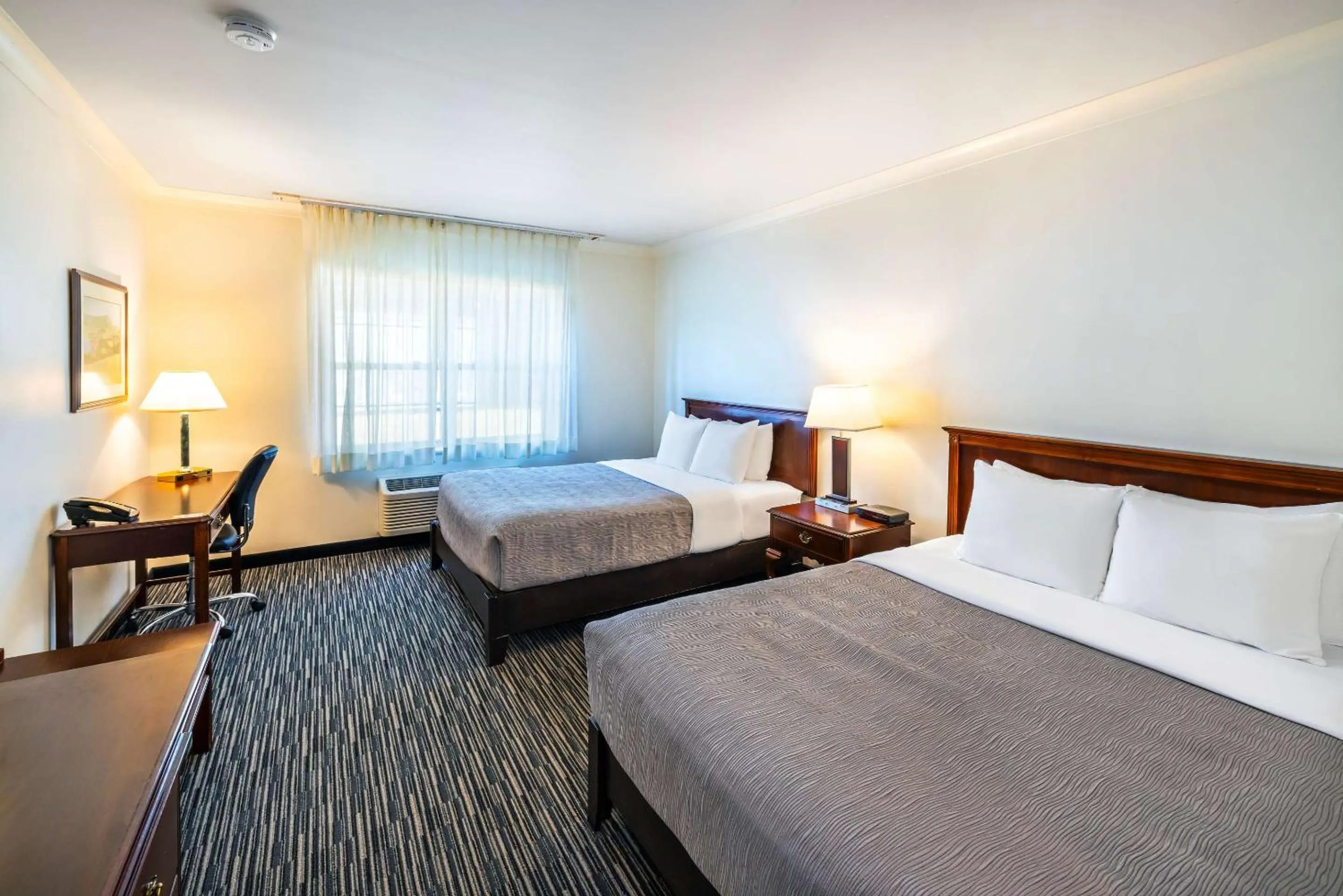 Bedroom, Bed in Quality Inn & Suites Garden of the Gulf