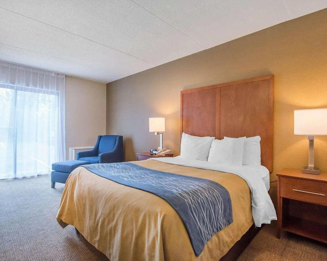 Bedroom, Bed in Comfort Inn Bedroom, Bed in Comfort Inn