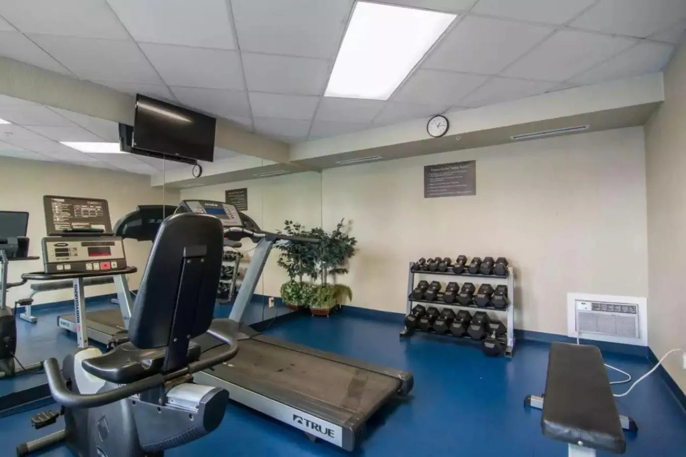 Fitness centre/facilities in Comfort Inn & Suites South