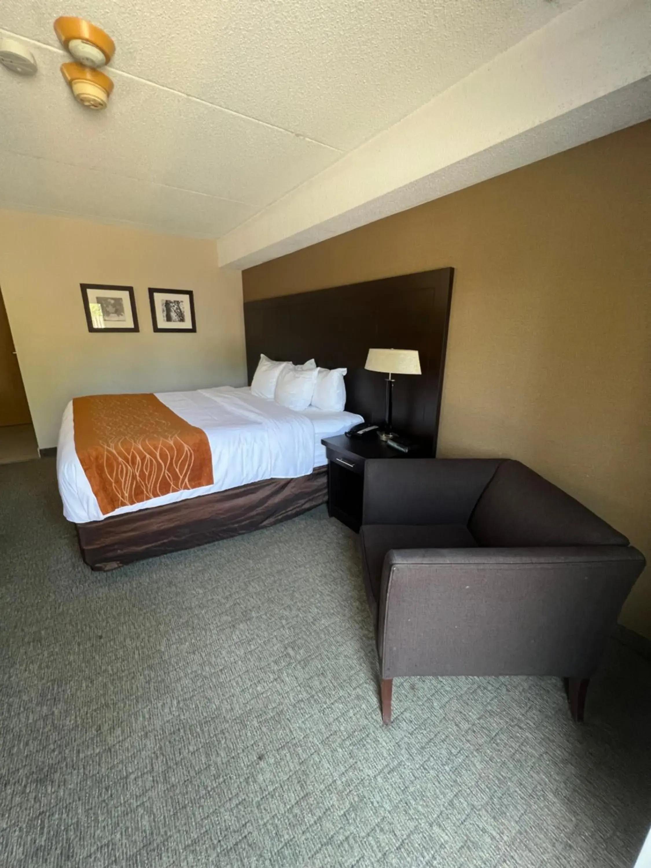 Bed in Comfort Inn Bed in Comfort Inn