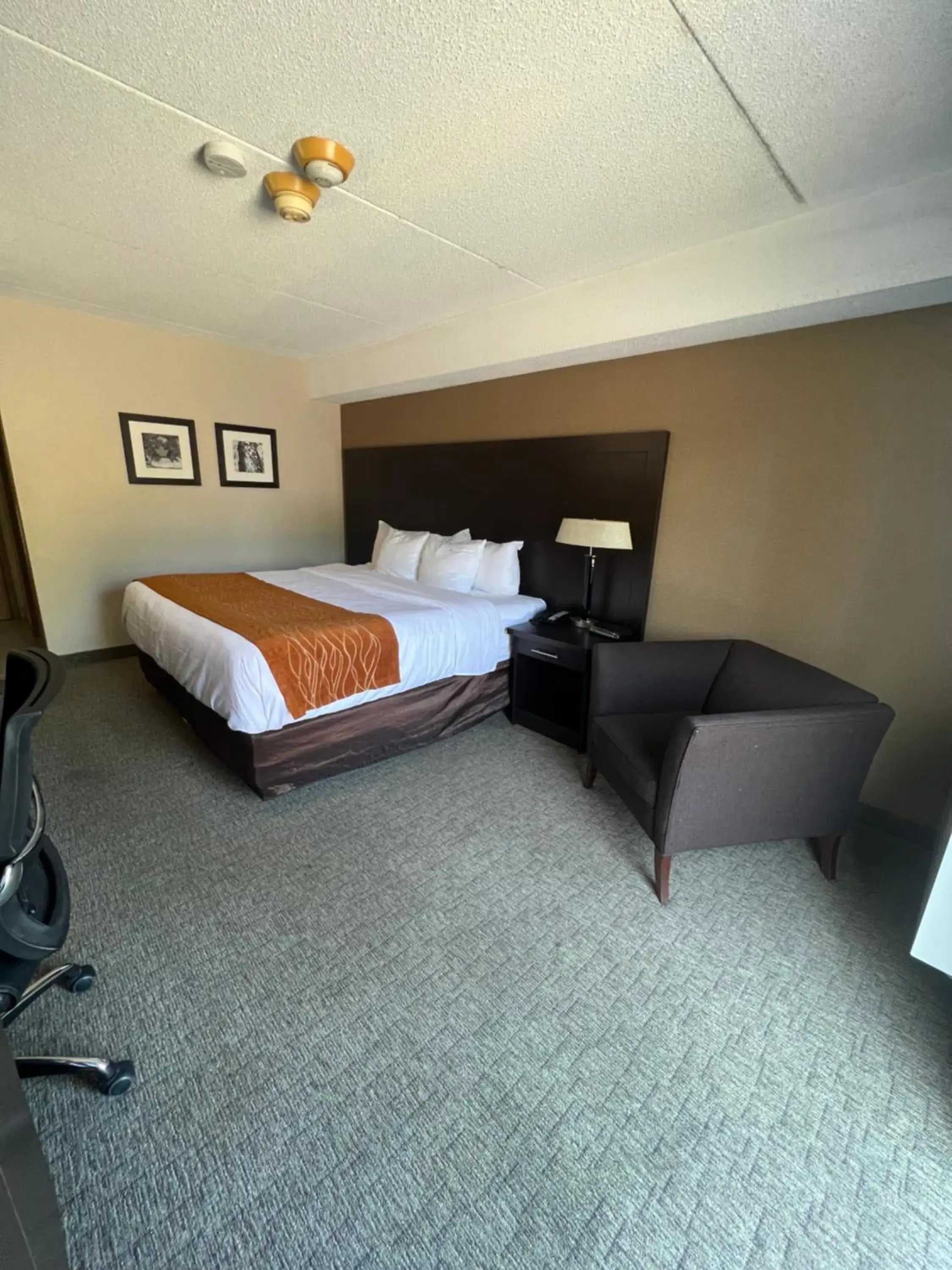 Bed in Comfort Inn Bed in Comfort Inn