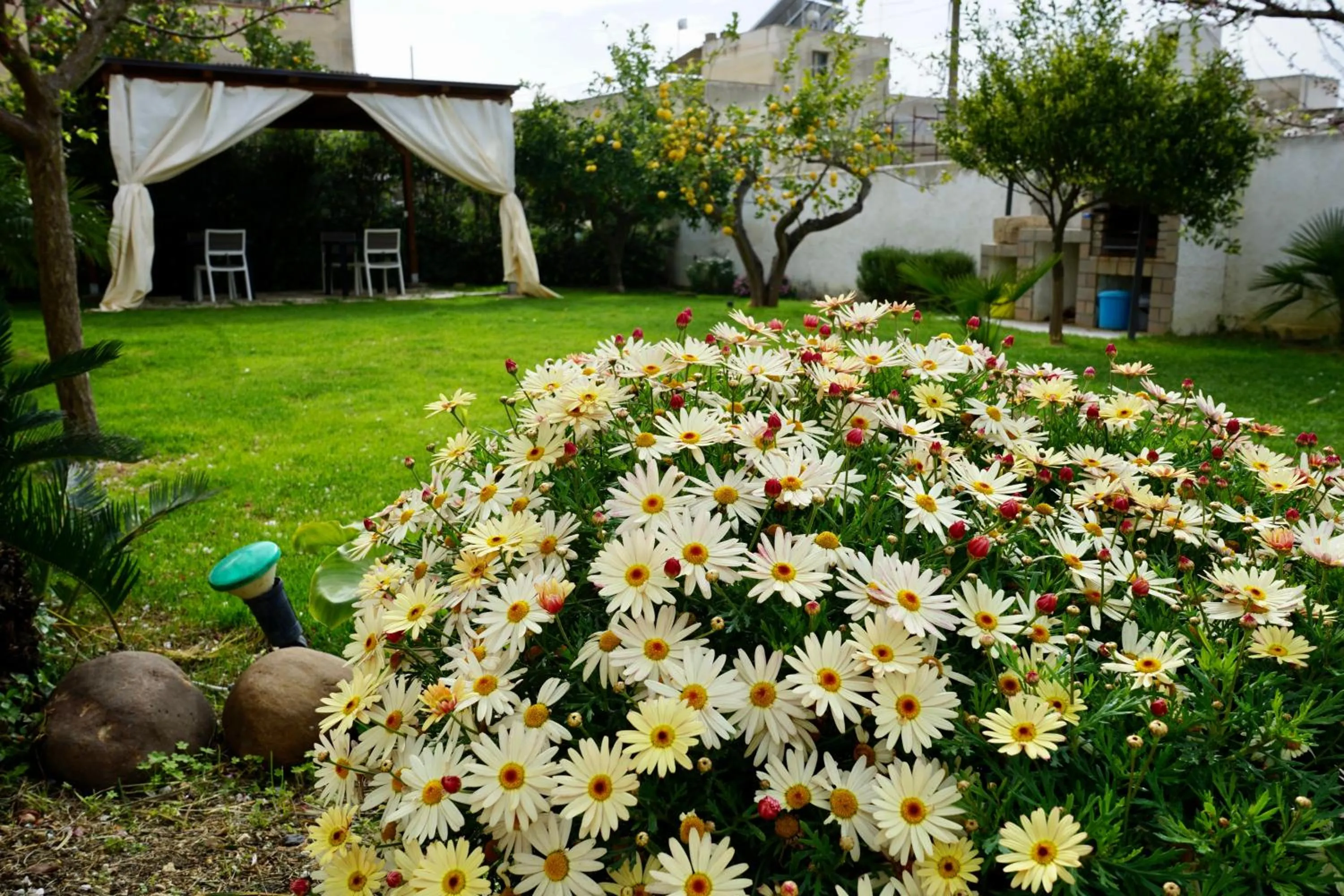 Garden in B&B Milena