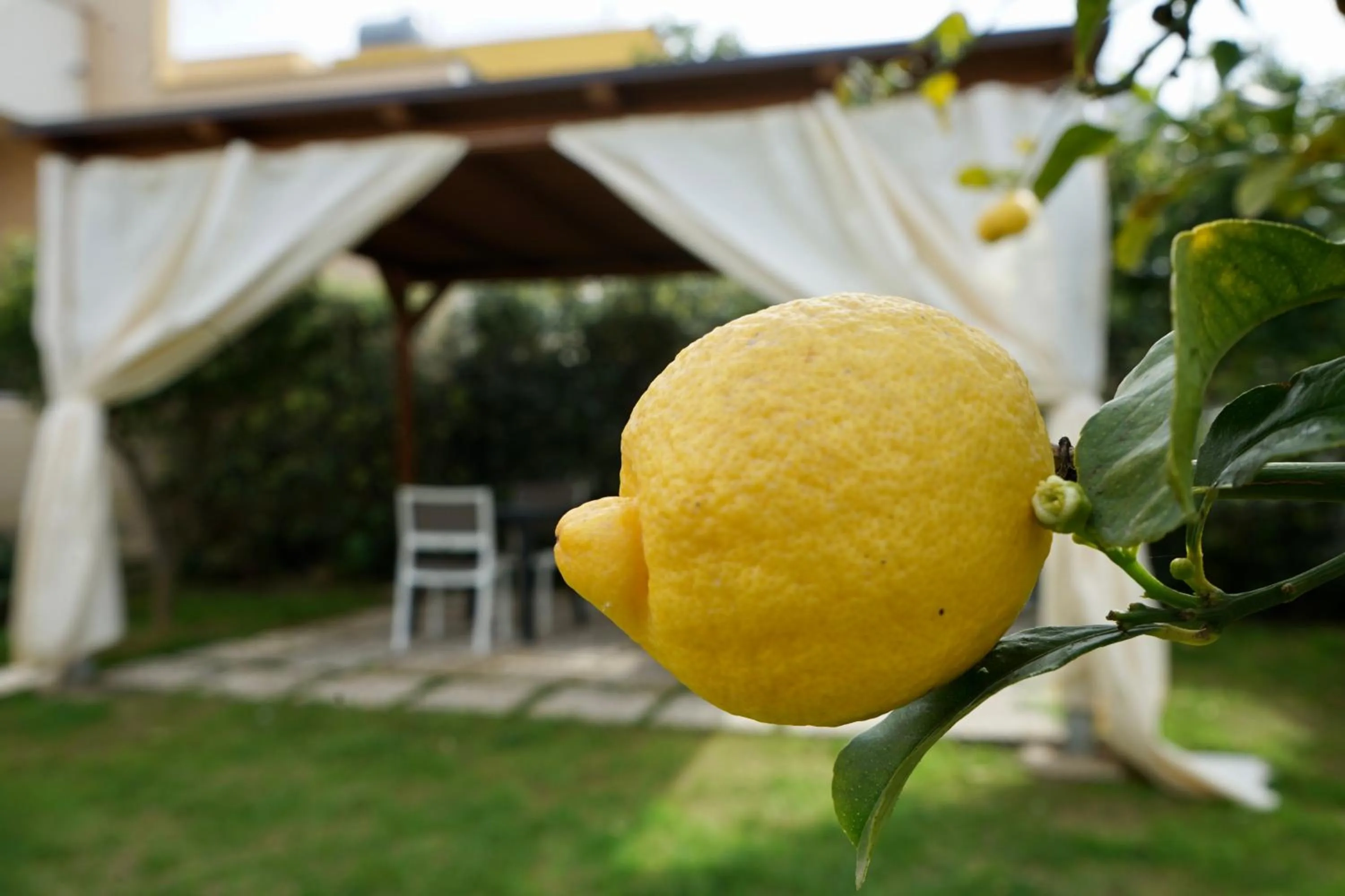 Garden view in B&B Milena