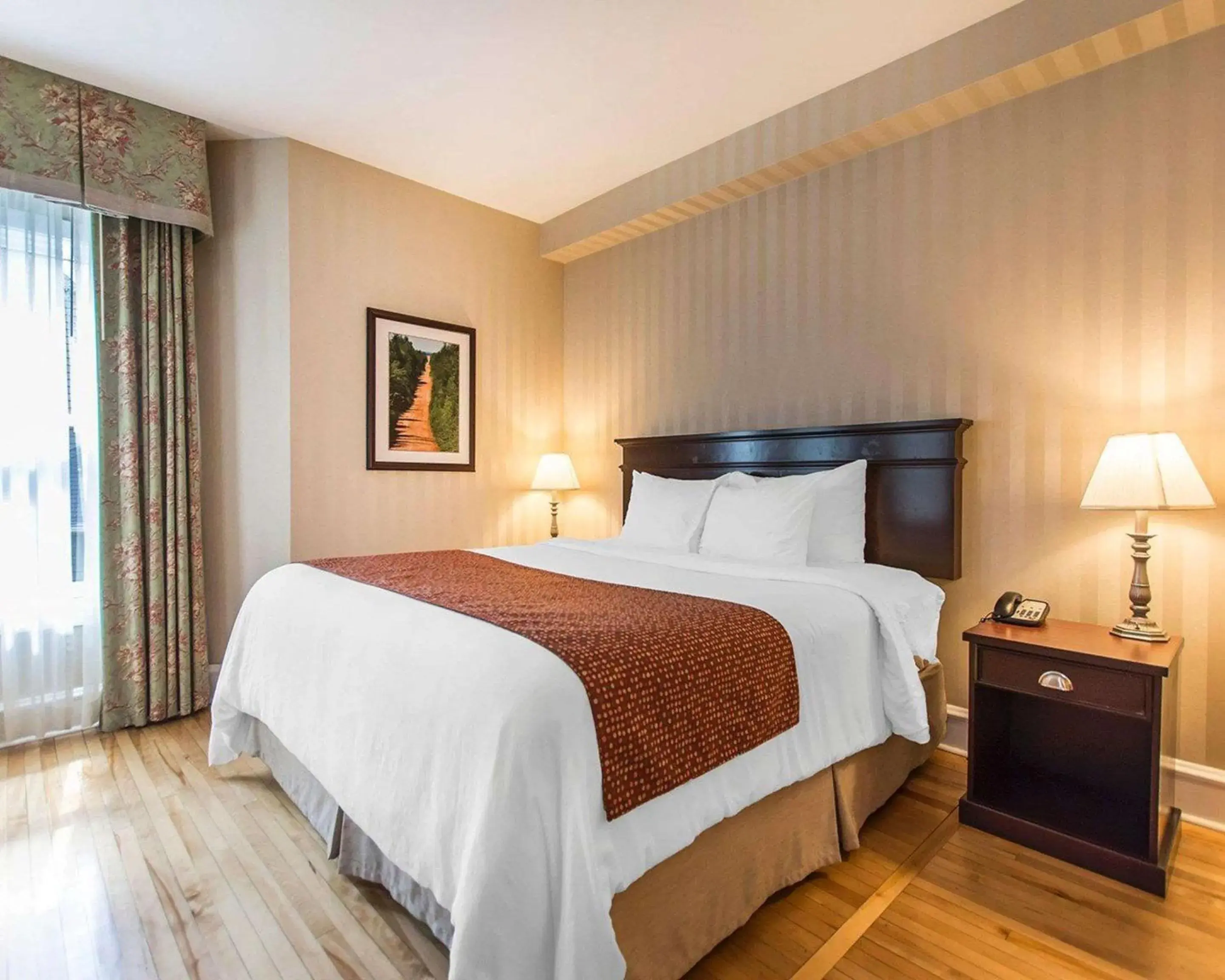 Bedroom, Bed in Quality Inn & Suites Downtown Bedroom, Bed in Quality Inn & Suites Downtown