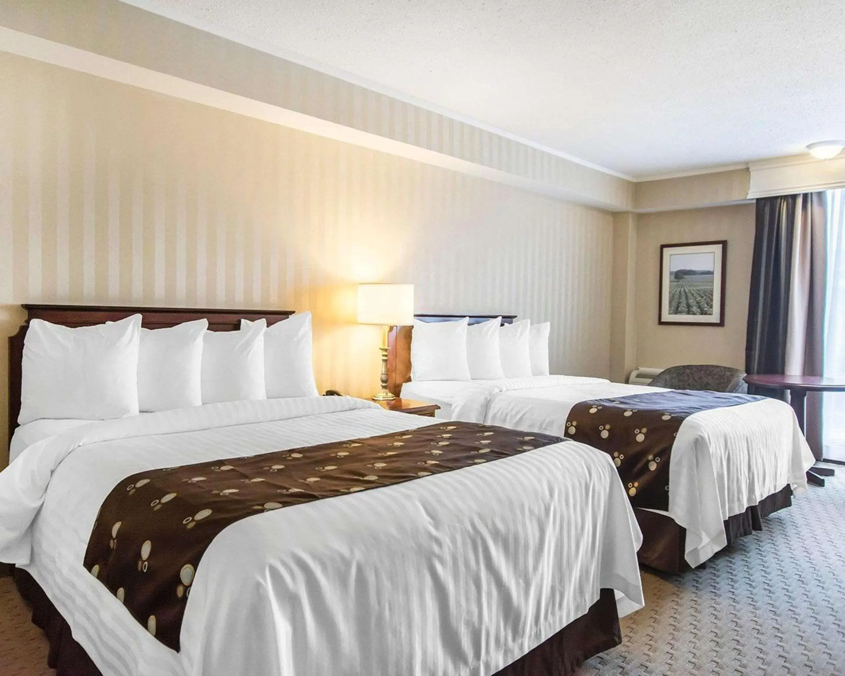 Queen Room with Two Queen Beds - Non-Smoking in Quality Inn & Suites Downtown Queen Room with Two Queen Beds - Non-Smoking in Quality Inn & Suites Downtown