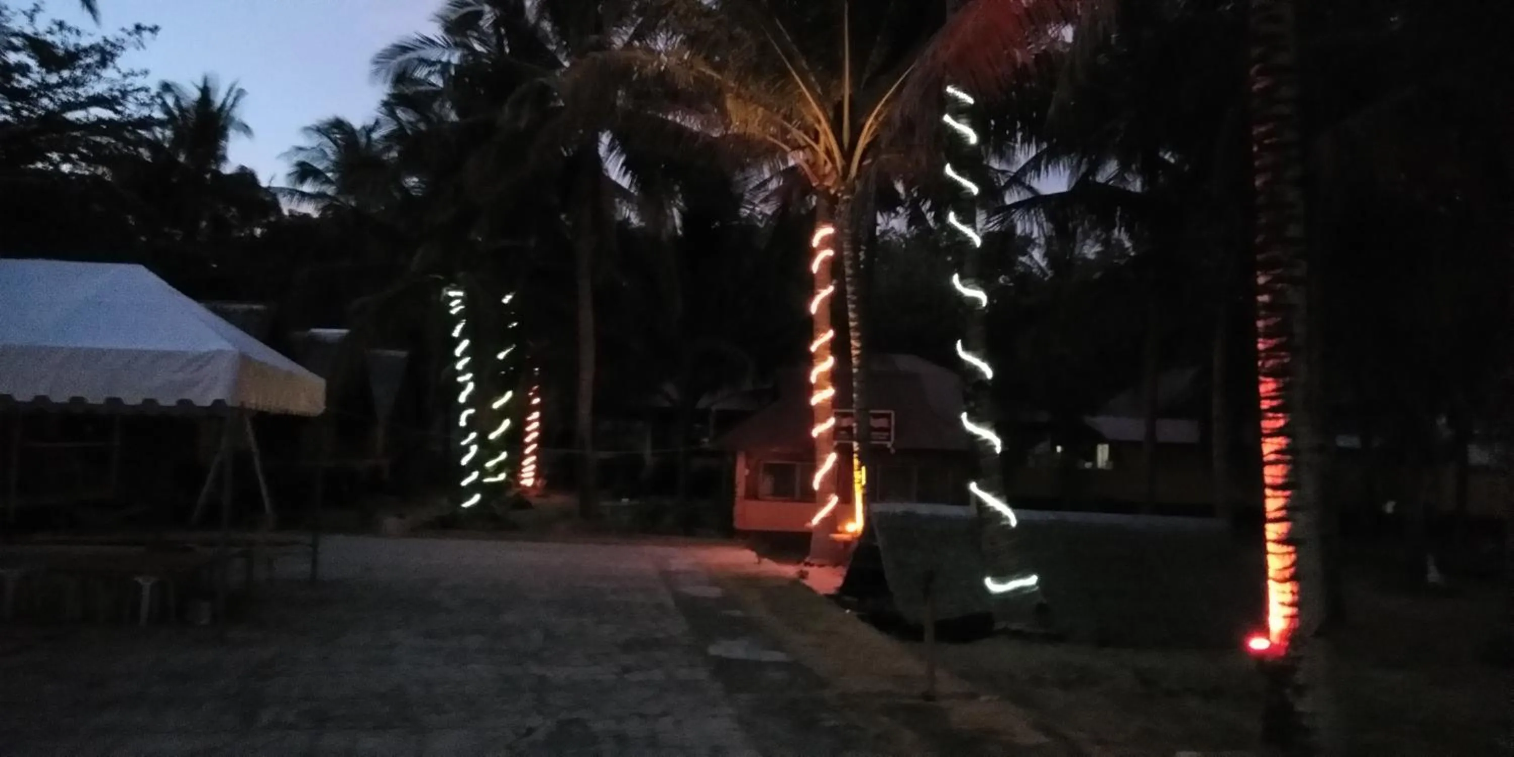 Night in Anda Poseidon’s Beach Resort