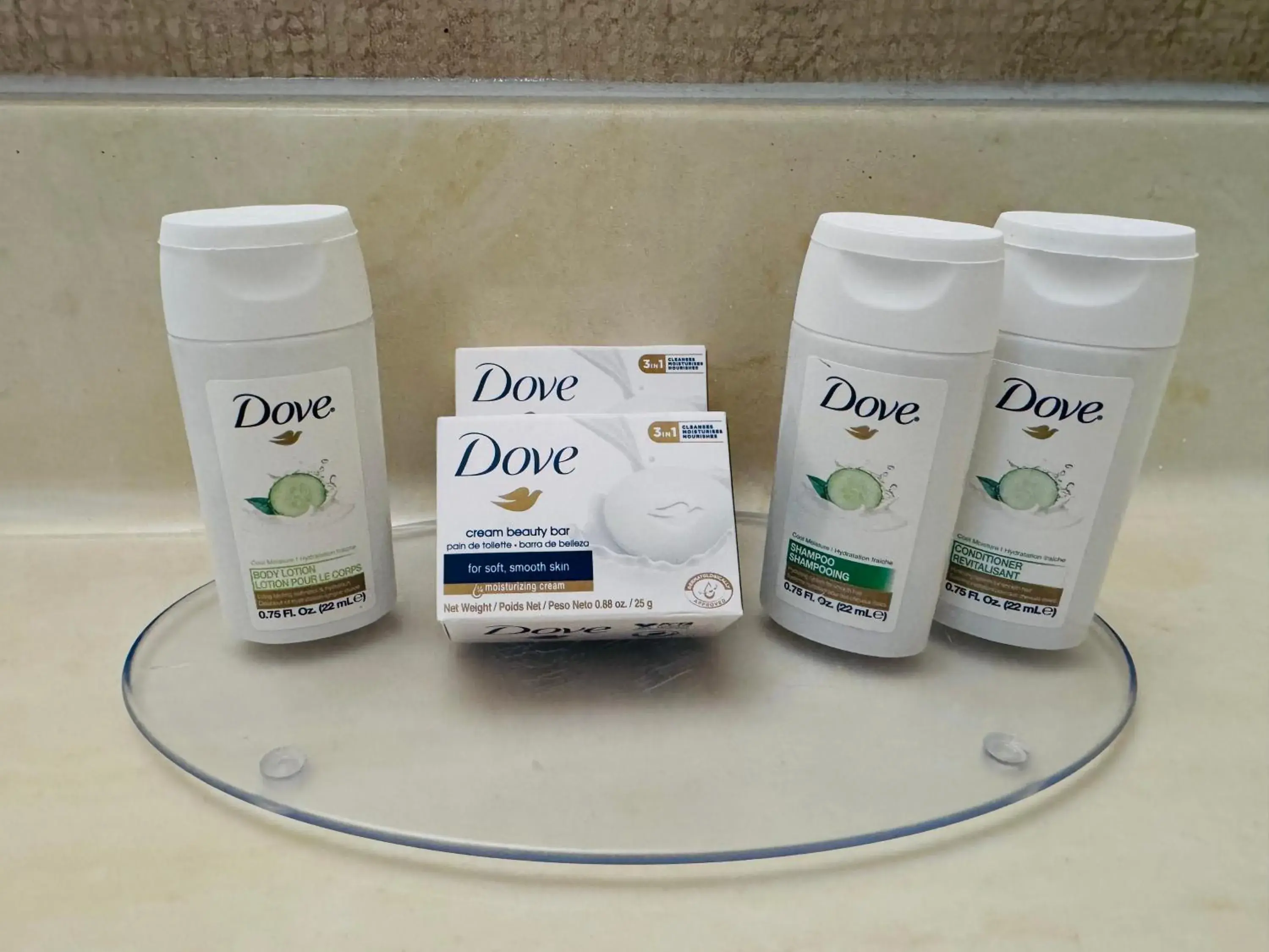 Queen Room with Two Queen Beds - Smoking in Travelodge by Wyndham Prince Albert Queen Room with Two Queen Beds - Smoking in Travelodge by Wyndham Prince Albert