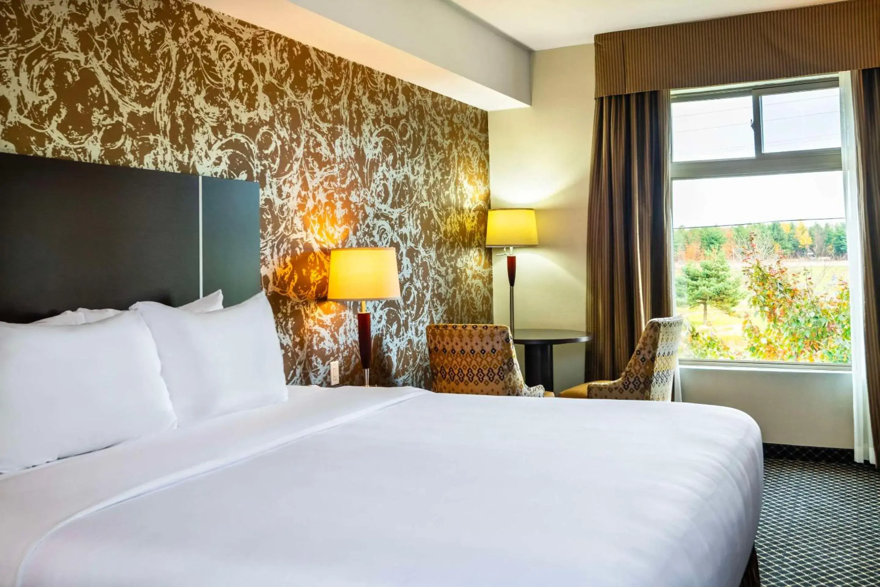 Bedroom, Bed in Quality Inn & Suites Bedroom, Bed in Quality Inn & Suites
