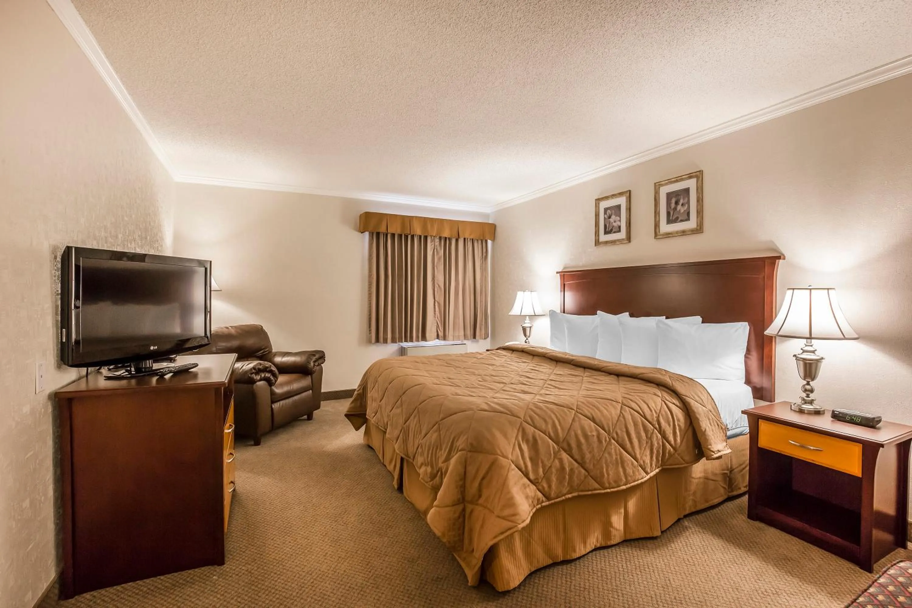 Bed in Quality Inn & Conference Centre