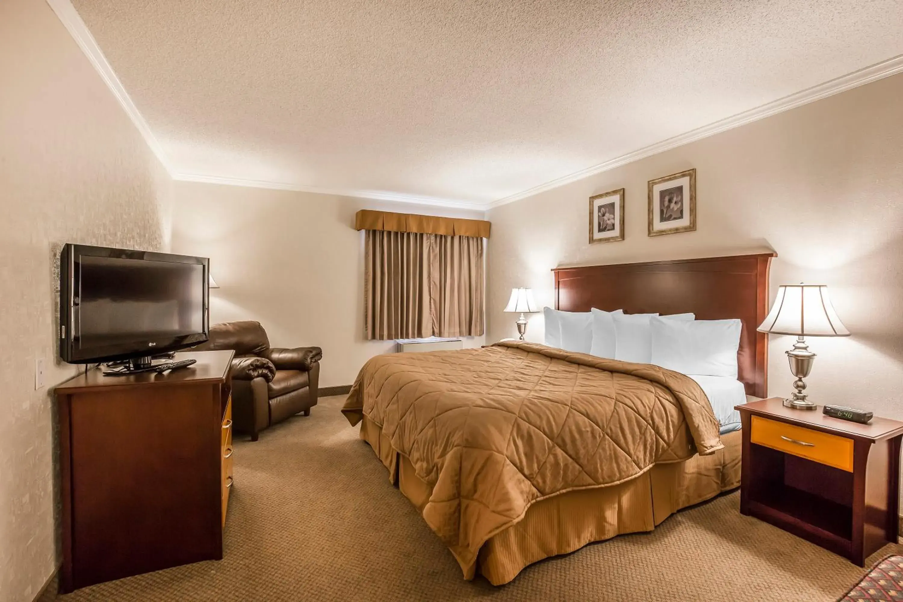 Bed in Quality Inn & Conference Centre Bed in Quality Inn & Conference Centre