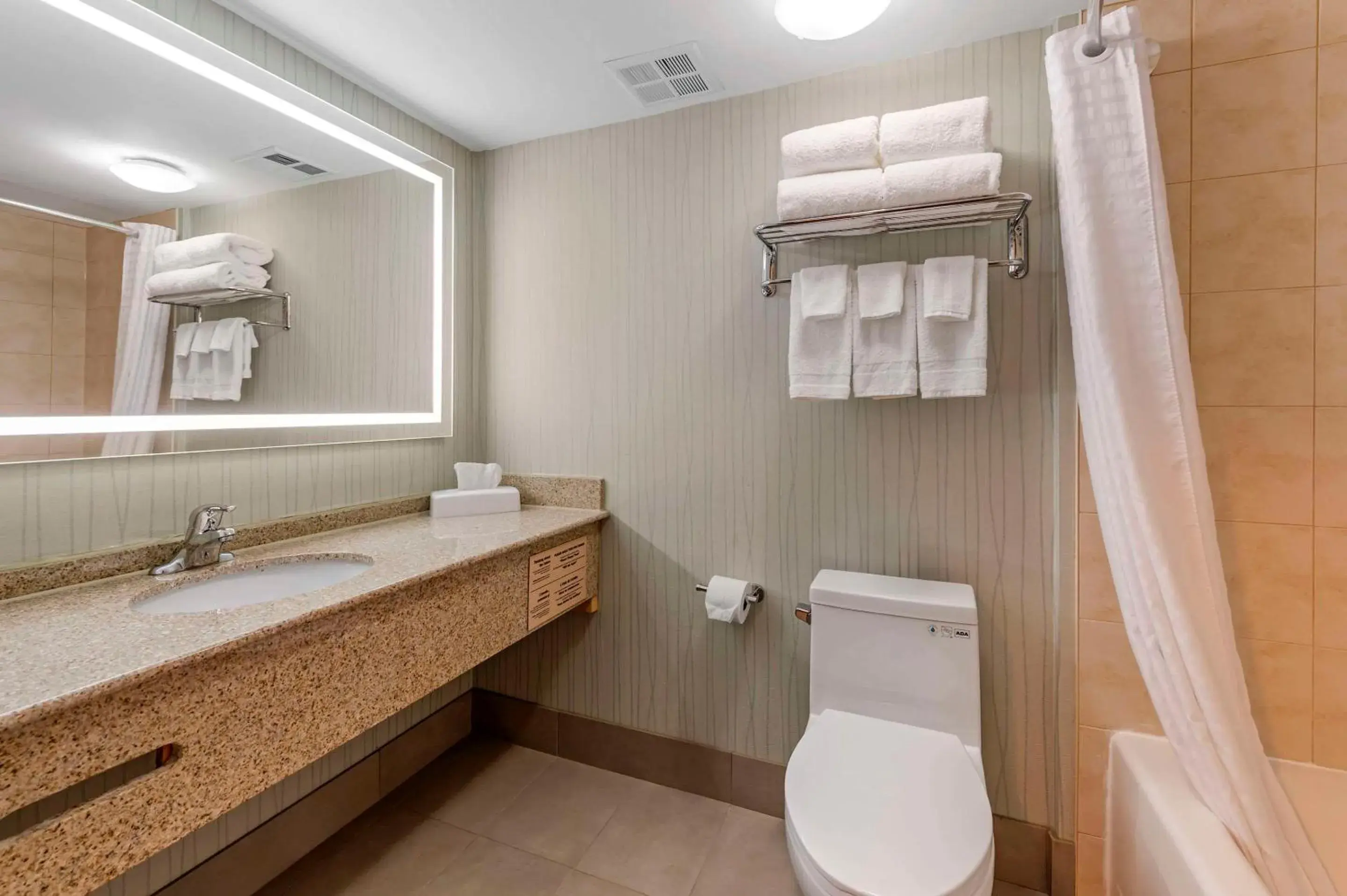 Bedroom in Quality Inn Bedroom in Quality Inn