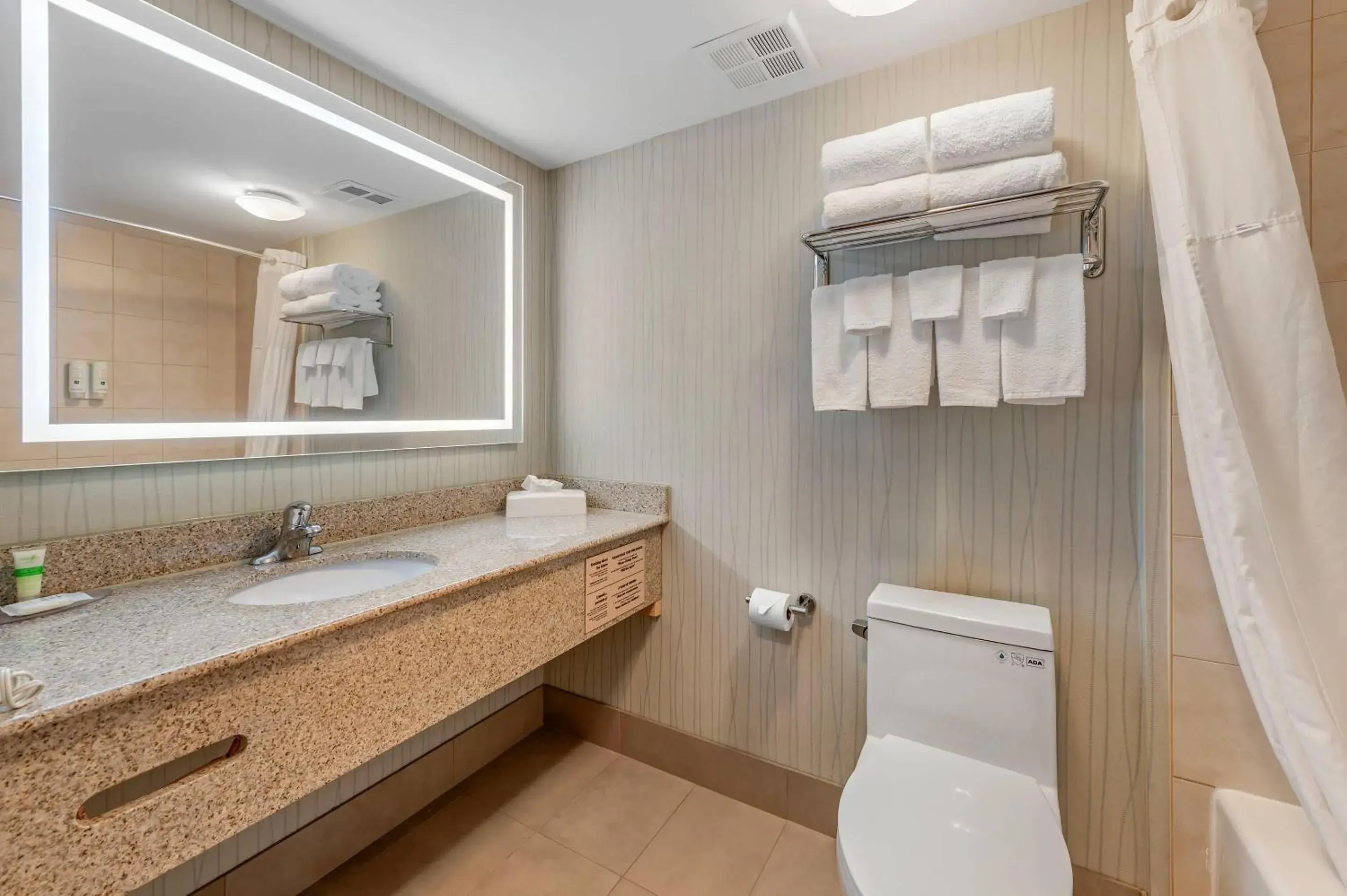 Bedroom in Quality Inn Bedroom in Quality Inn