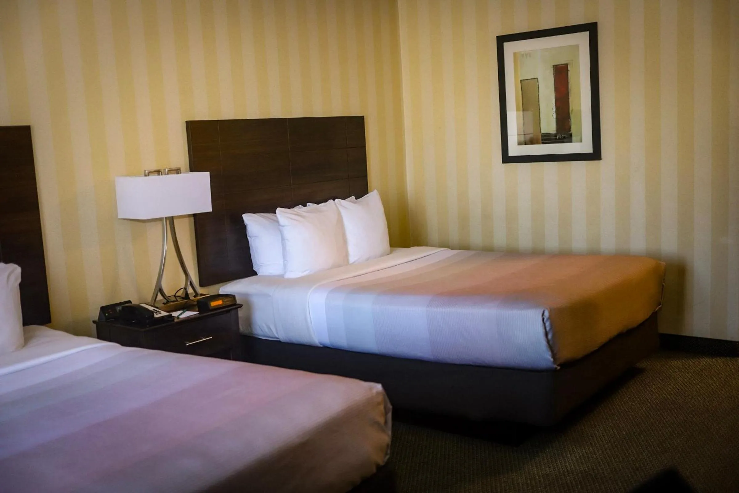 Bed in Quality Inn Colorado Springs Airport