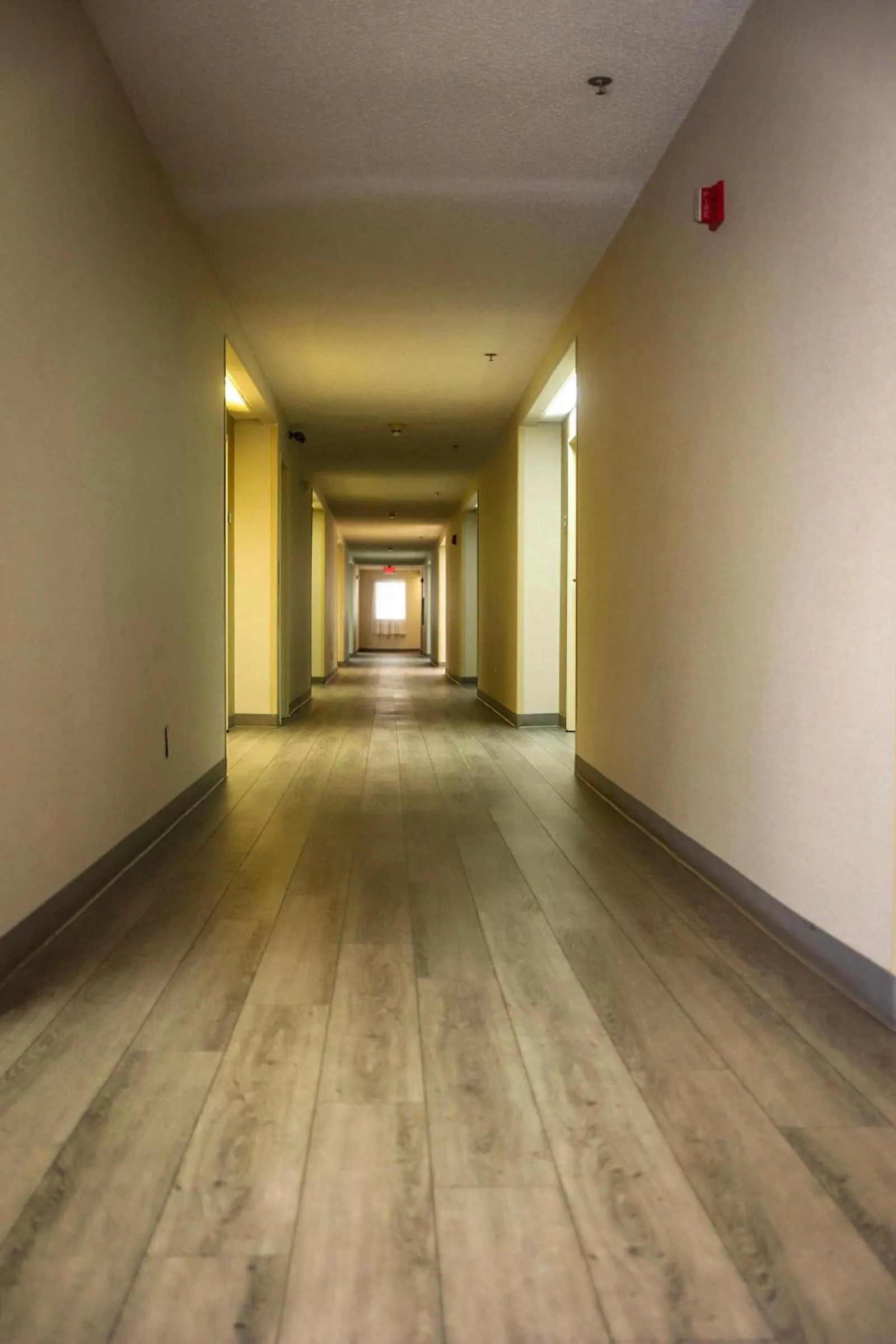 Quality Inn Colorado Springs Airport