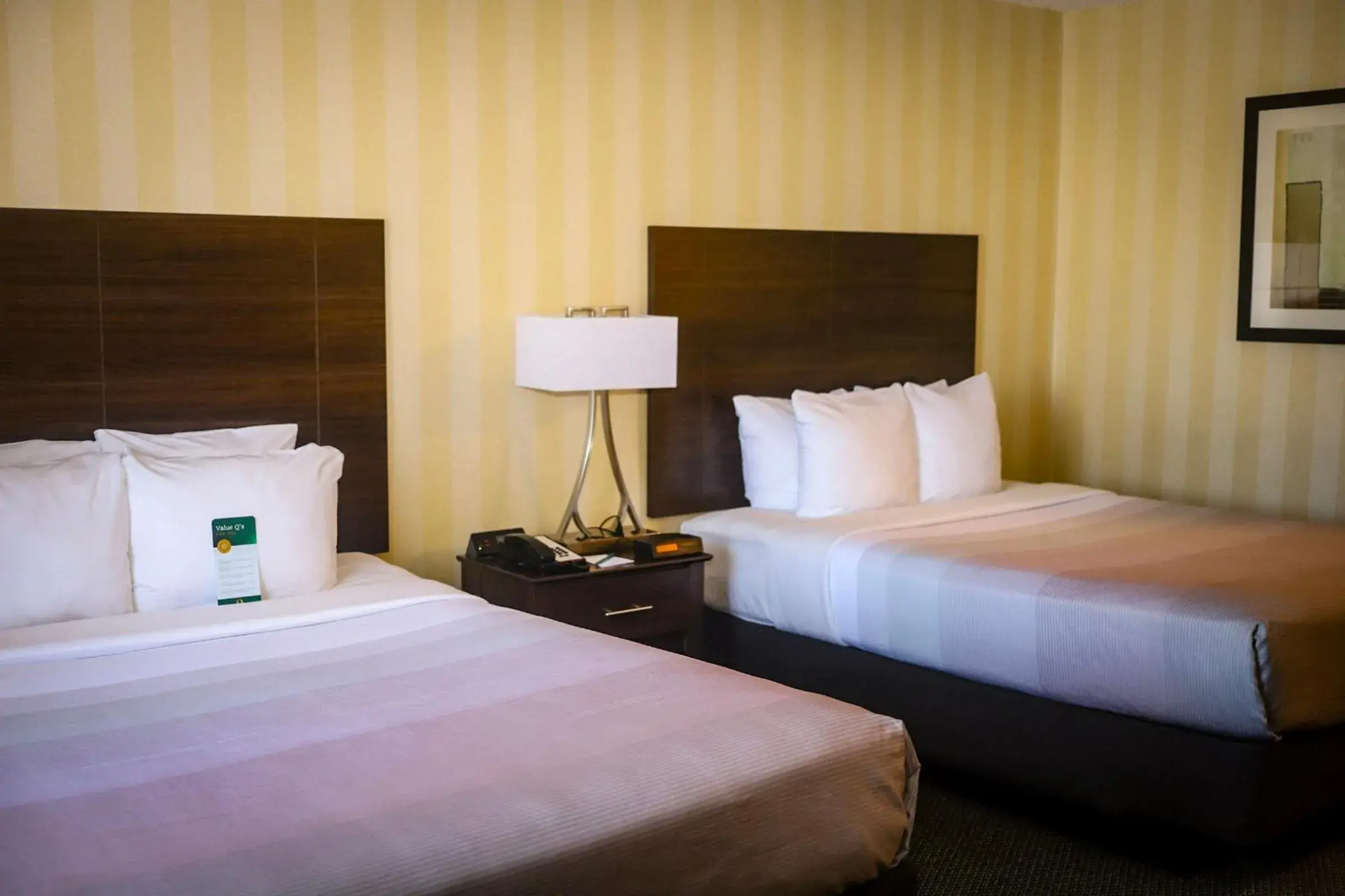 Bedroom, Bed in Quality Inn Colorado Springs Airport Bedroom, Bed in Quality Inn Colorado Springs Airport