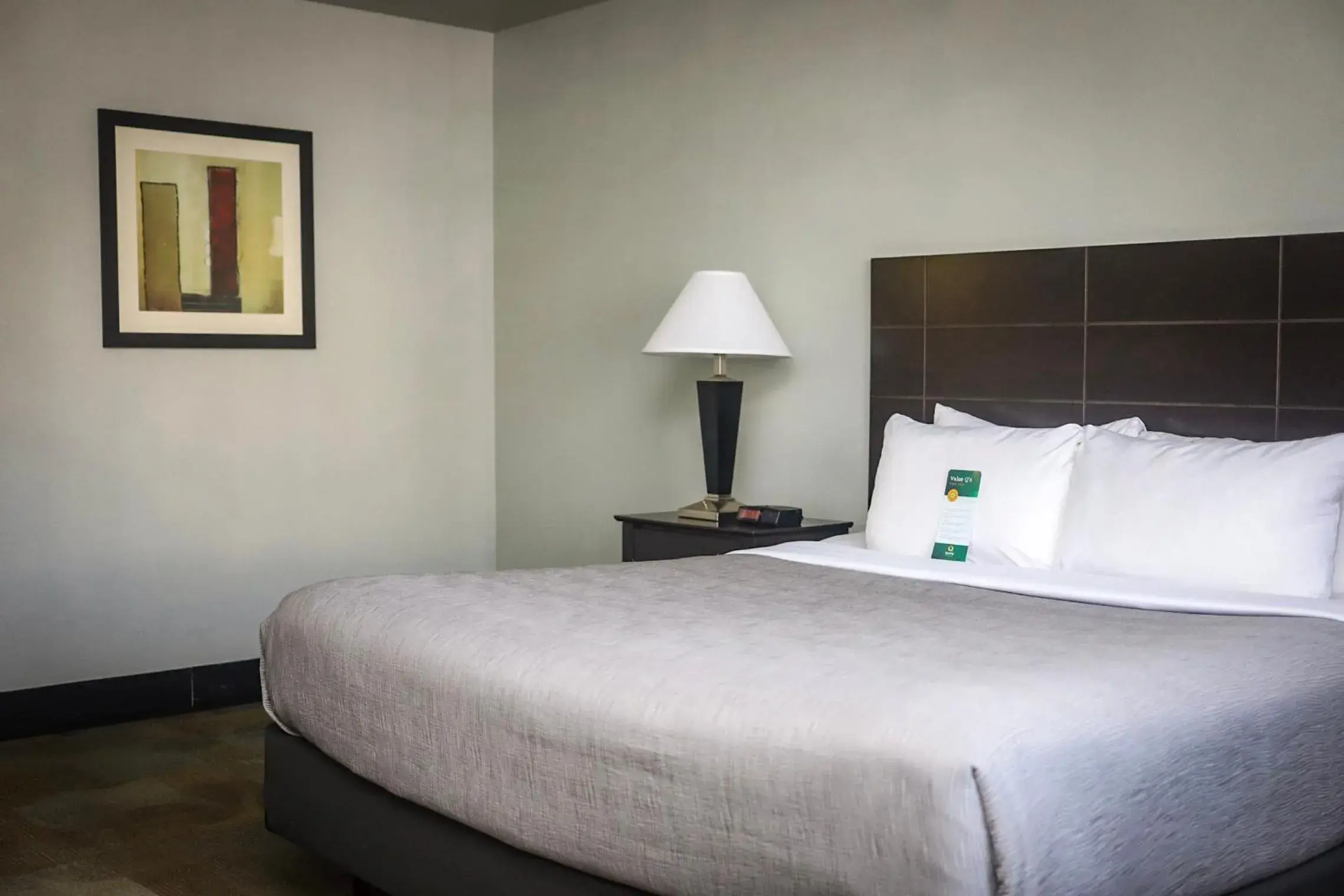 Bed in Quality Inn Colorado Springs Airport Bed in Quality Inn Colorado Springs Airport