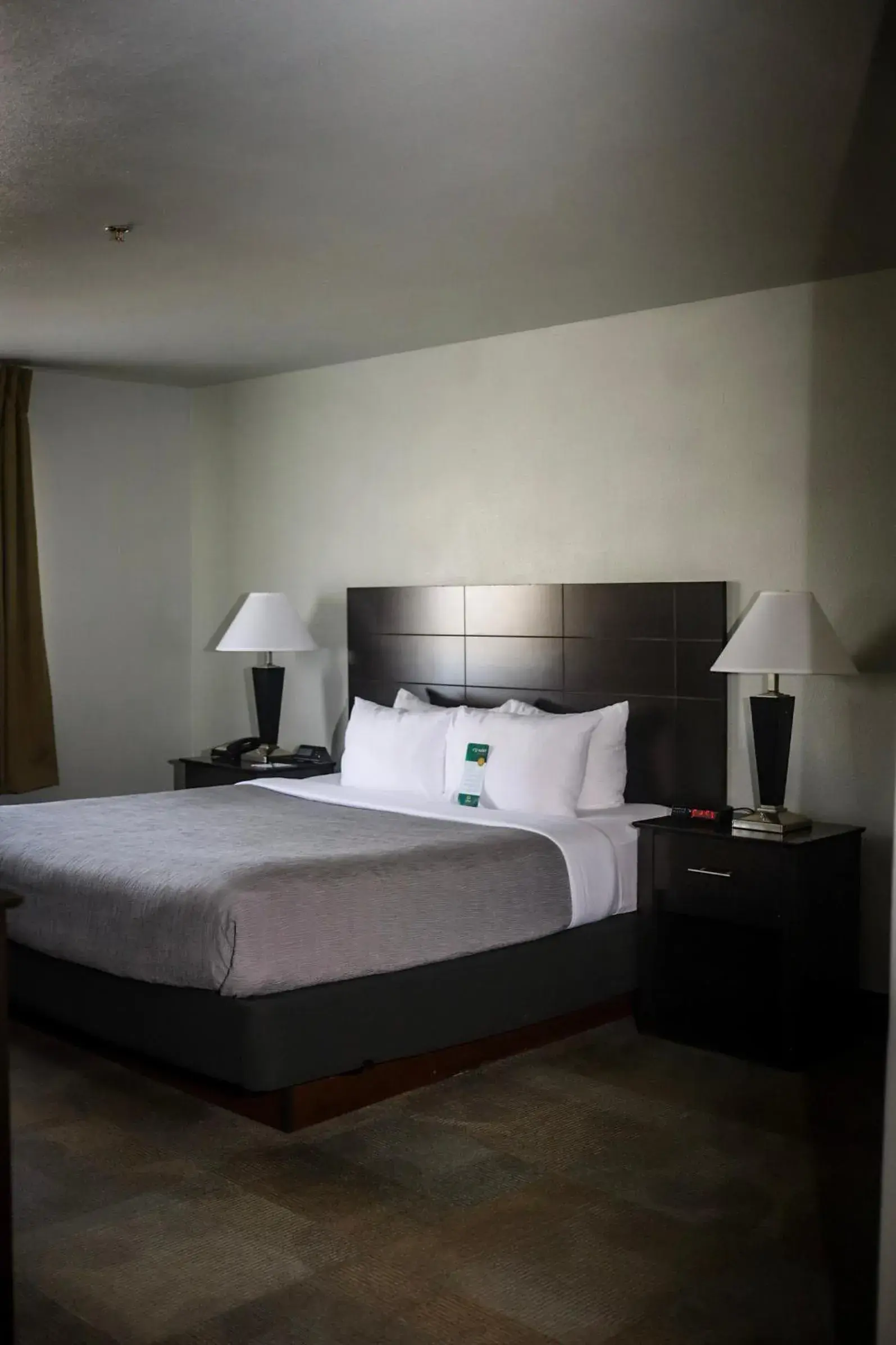 Bed in Quality Inn Colorado Springs Airport Bed in Quality Inn Colorado Springs Airport