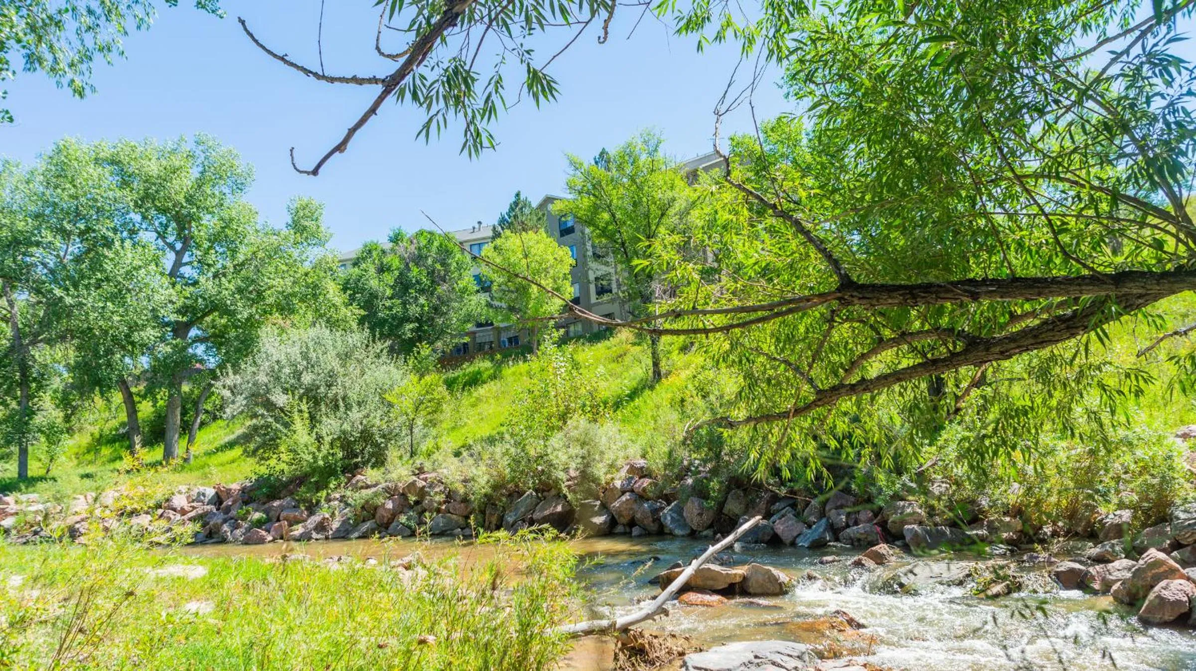 Property building in Comfort Inn North - Air Force Academy Area