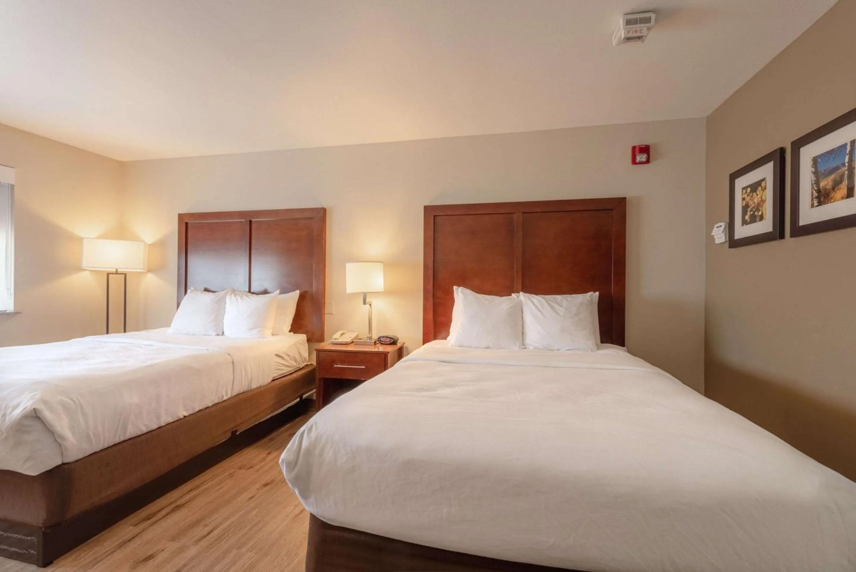 Bedroom, Bed in Comfort Inn & Suites Alamosa