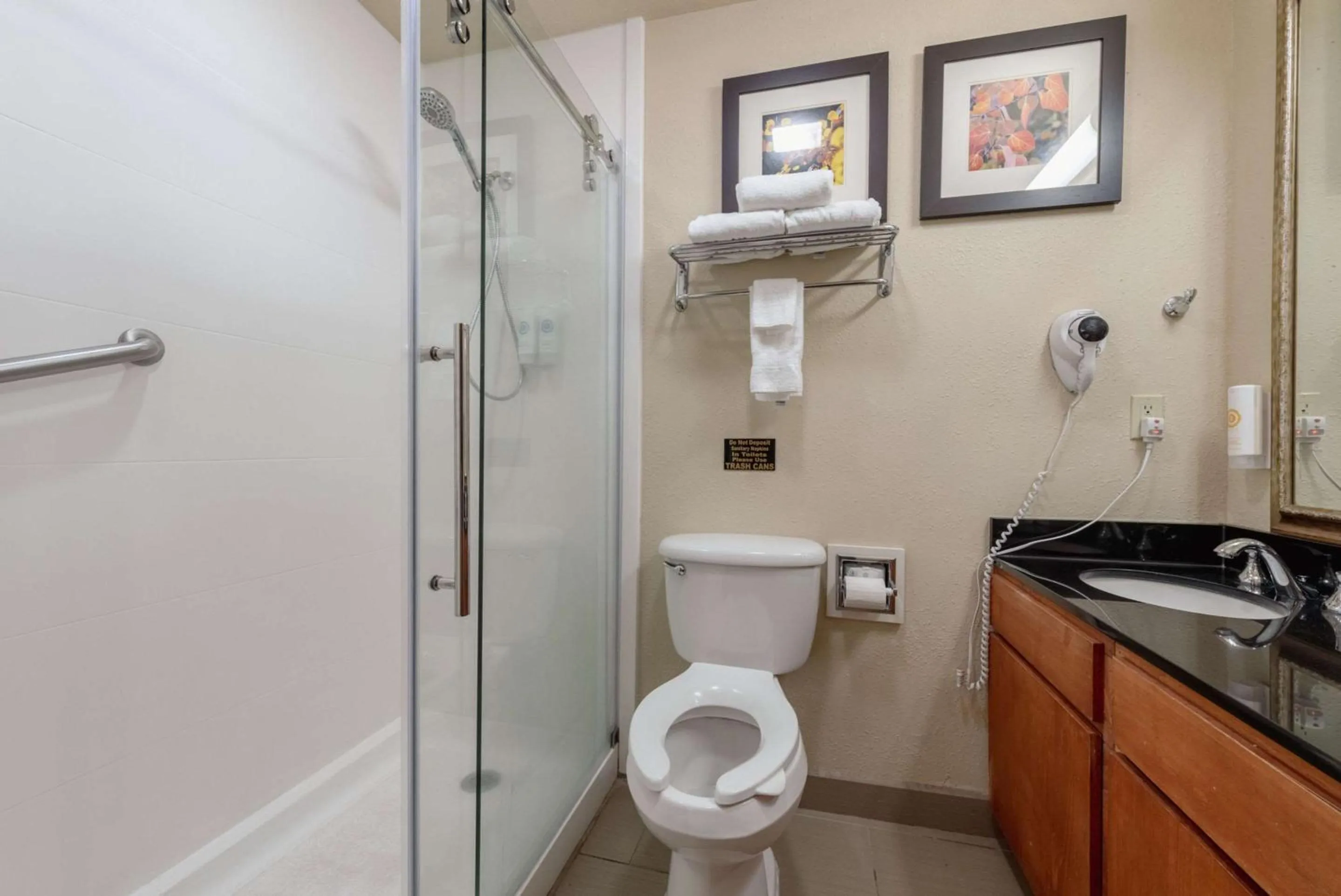 Bedroom in Comfort Inn & Suites Alamosa