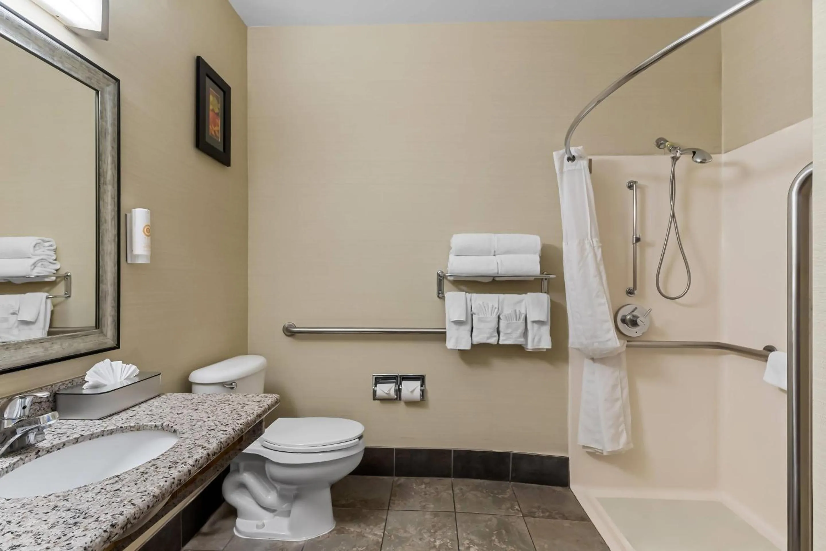 Bedroom in Comfort Suites Denver Tech Center