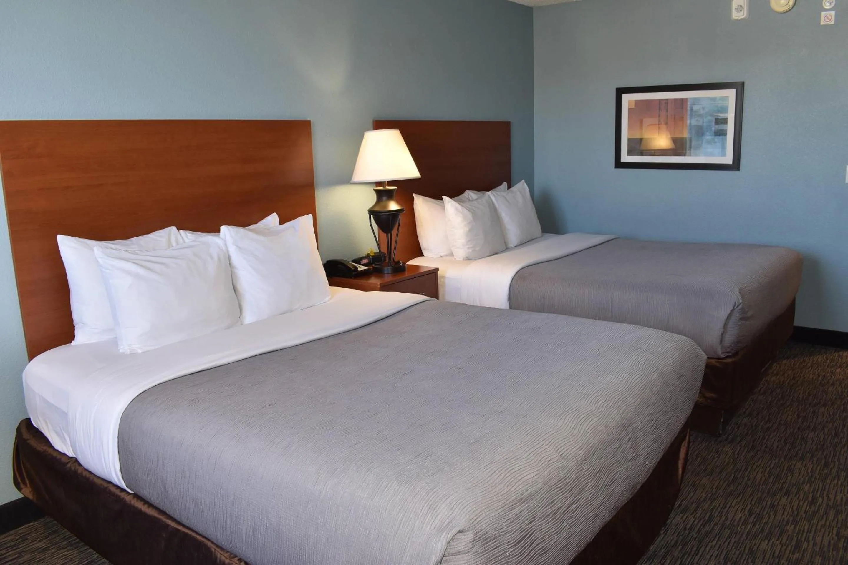 Bedroom, Bed in Quality Inn & Suites Garden Of The Gods