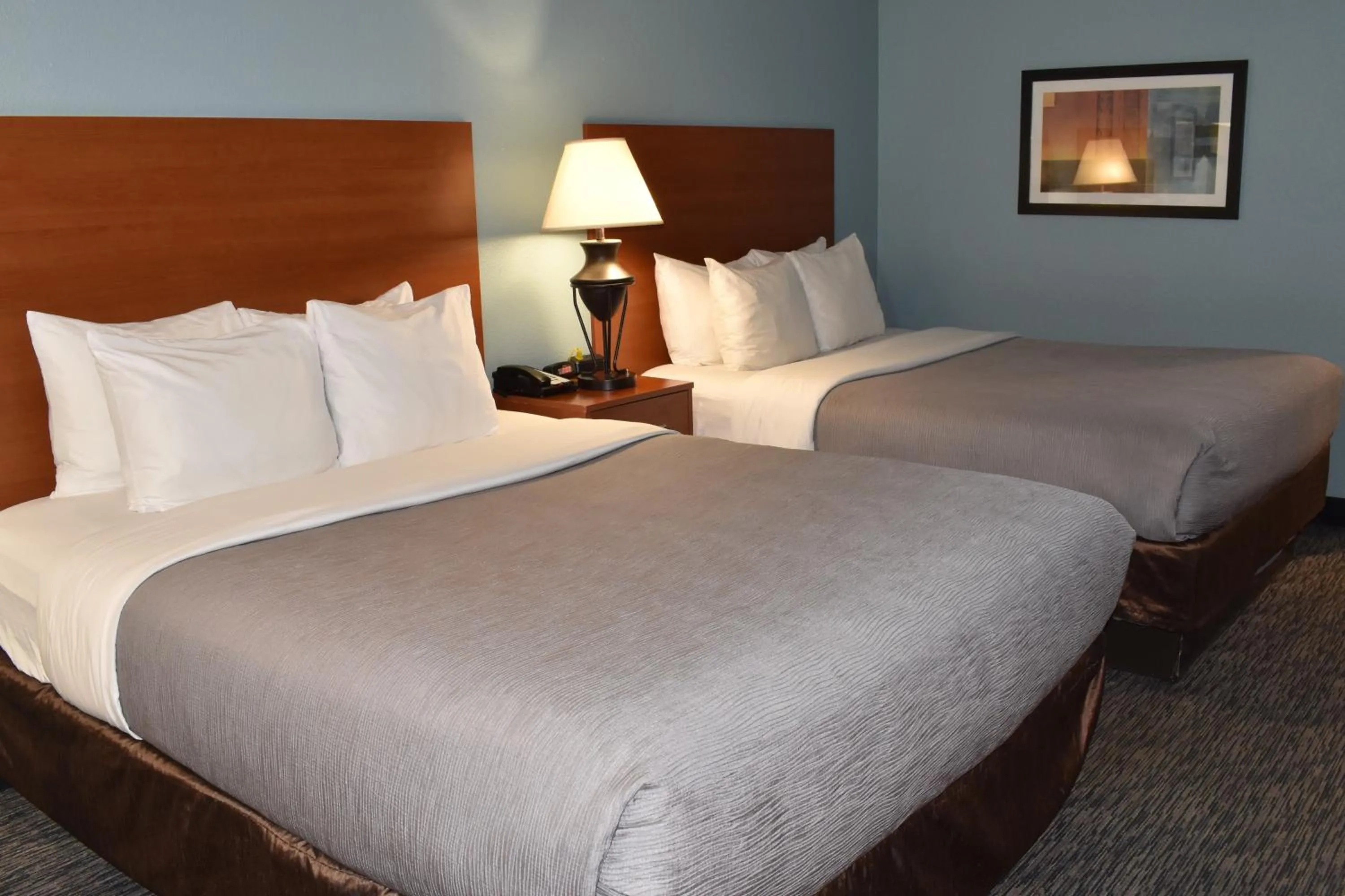 Bed in Quality Inn & Suites Garden Of The Gods