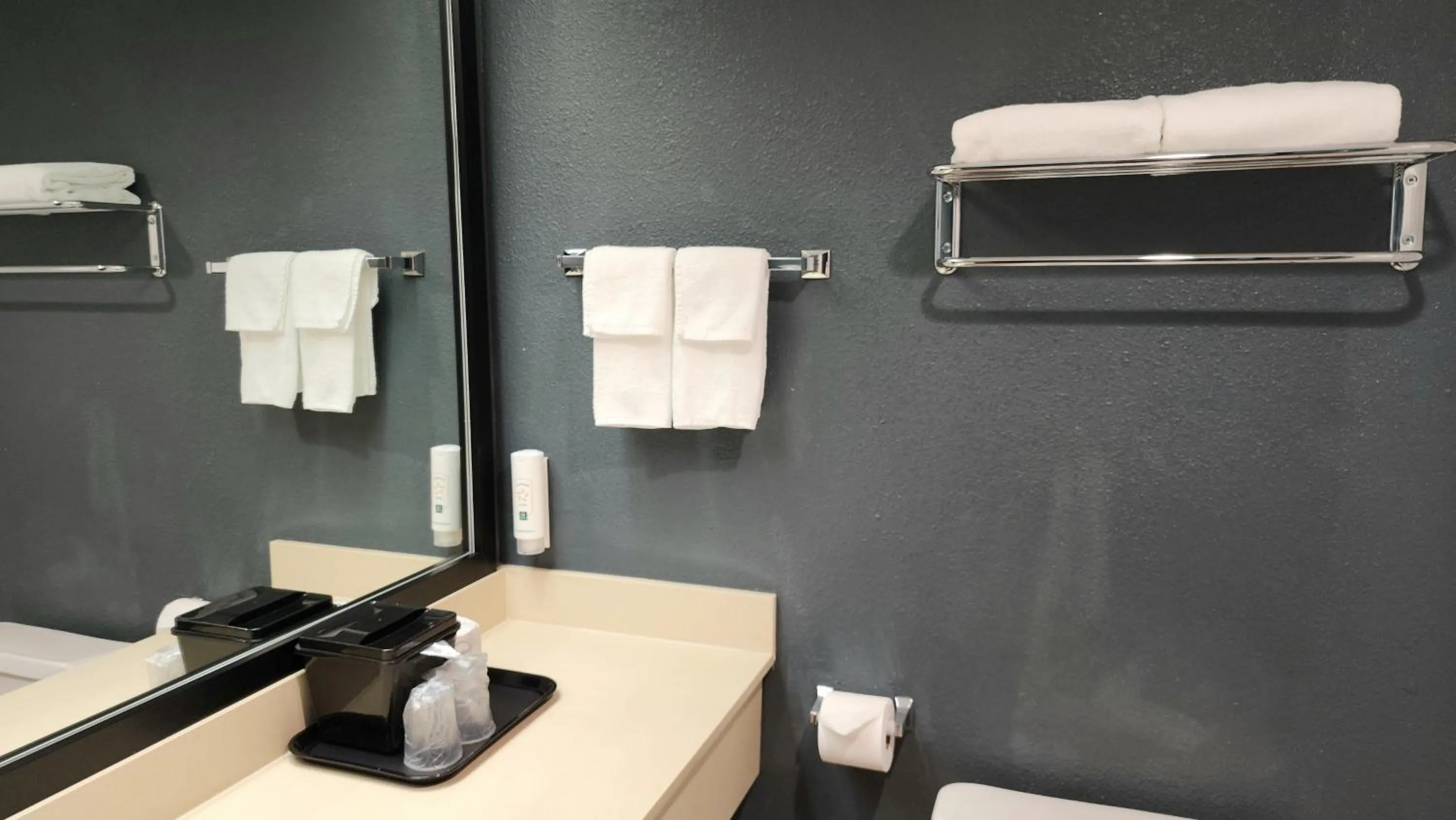 Quality Inn & Suites Garden Of The Gods