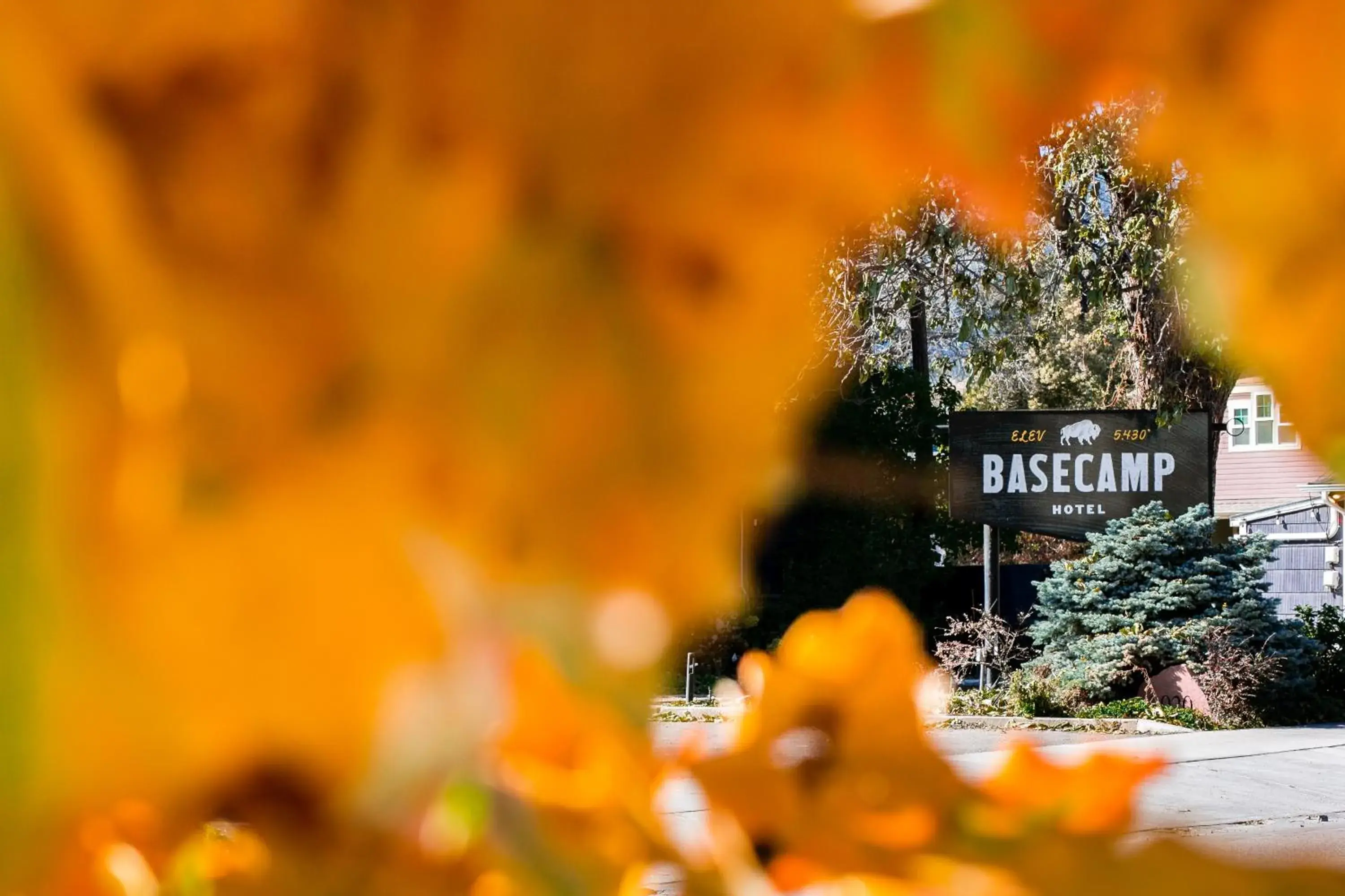 Property building in Basecamp Boulder Property building in Basecamp Boulder