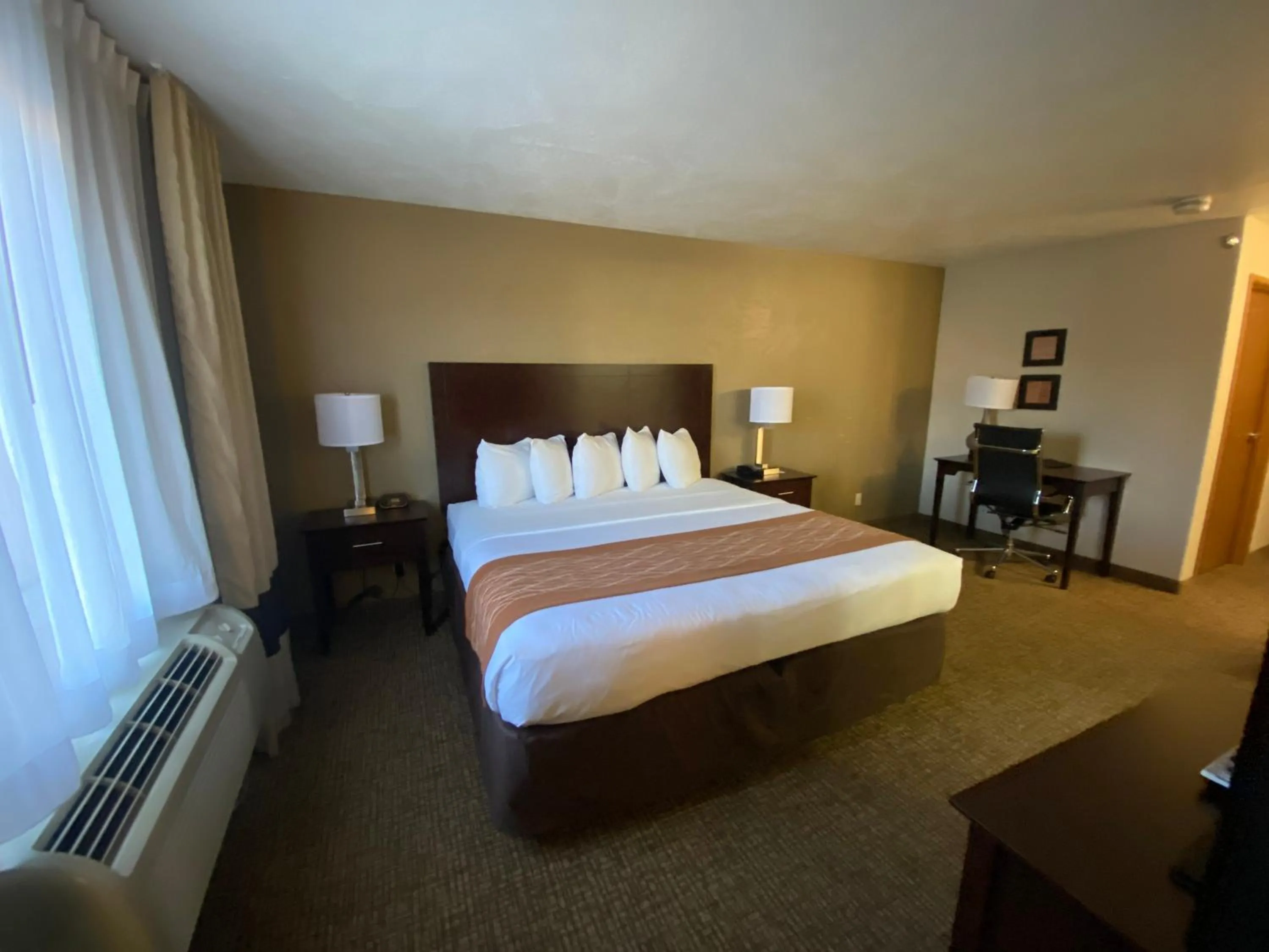 Bed in Comfort Inn & Suites Gunnison-Crested Butte