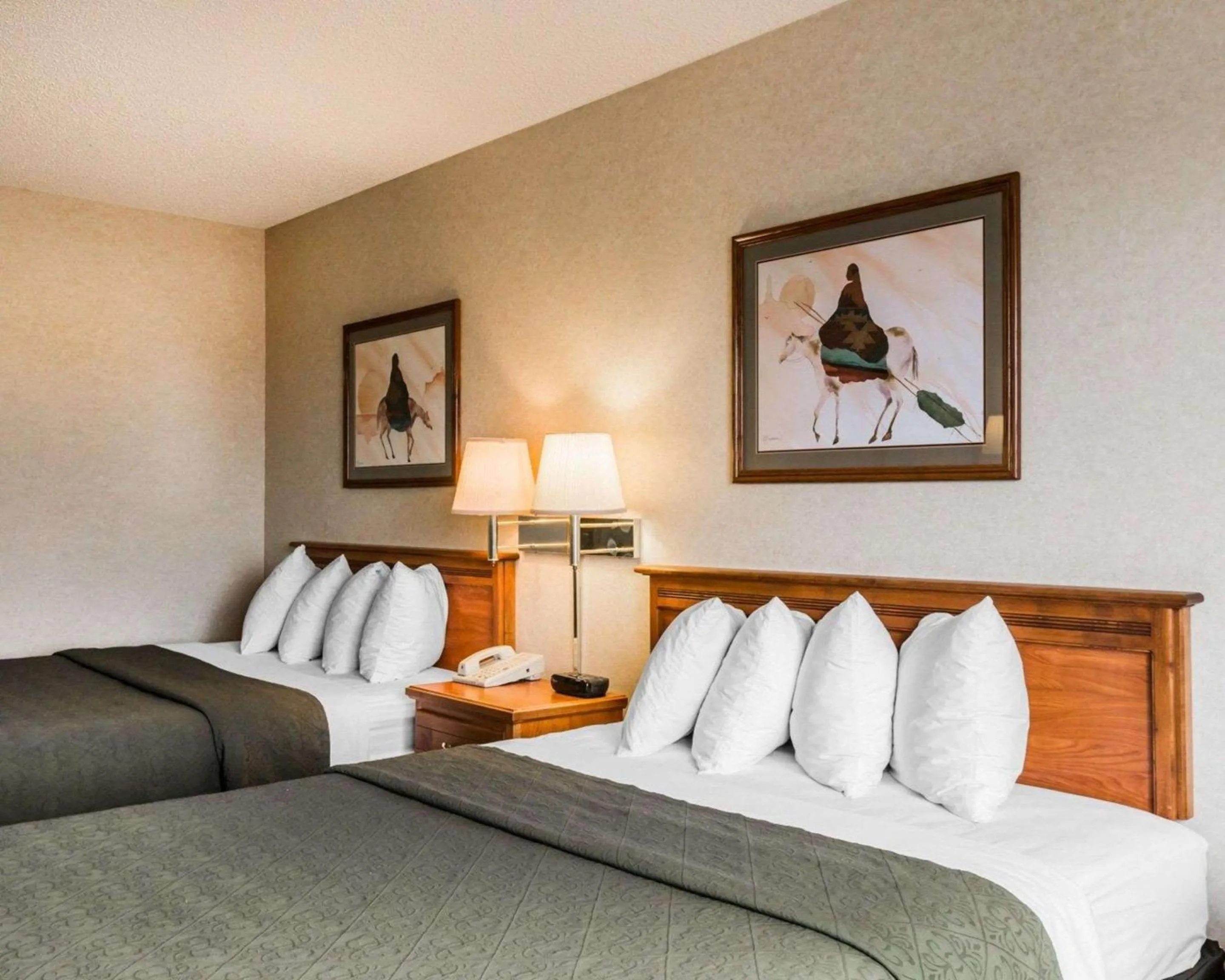 Photo of the whole room, Bed in Quality Inn & Suites Montrose - Black Canyon Area