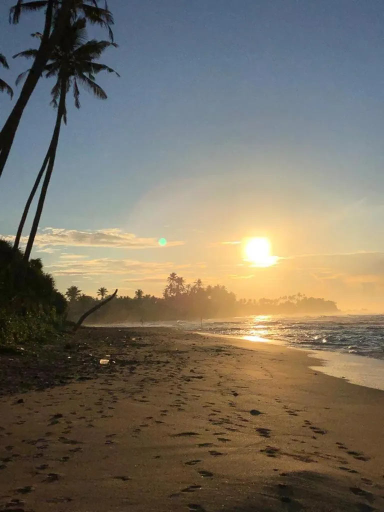 Beach in Harding Boutique Hotel