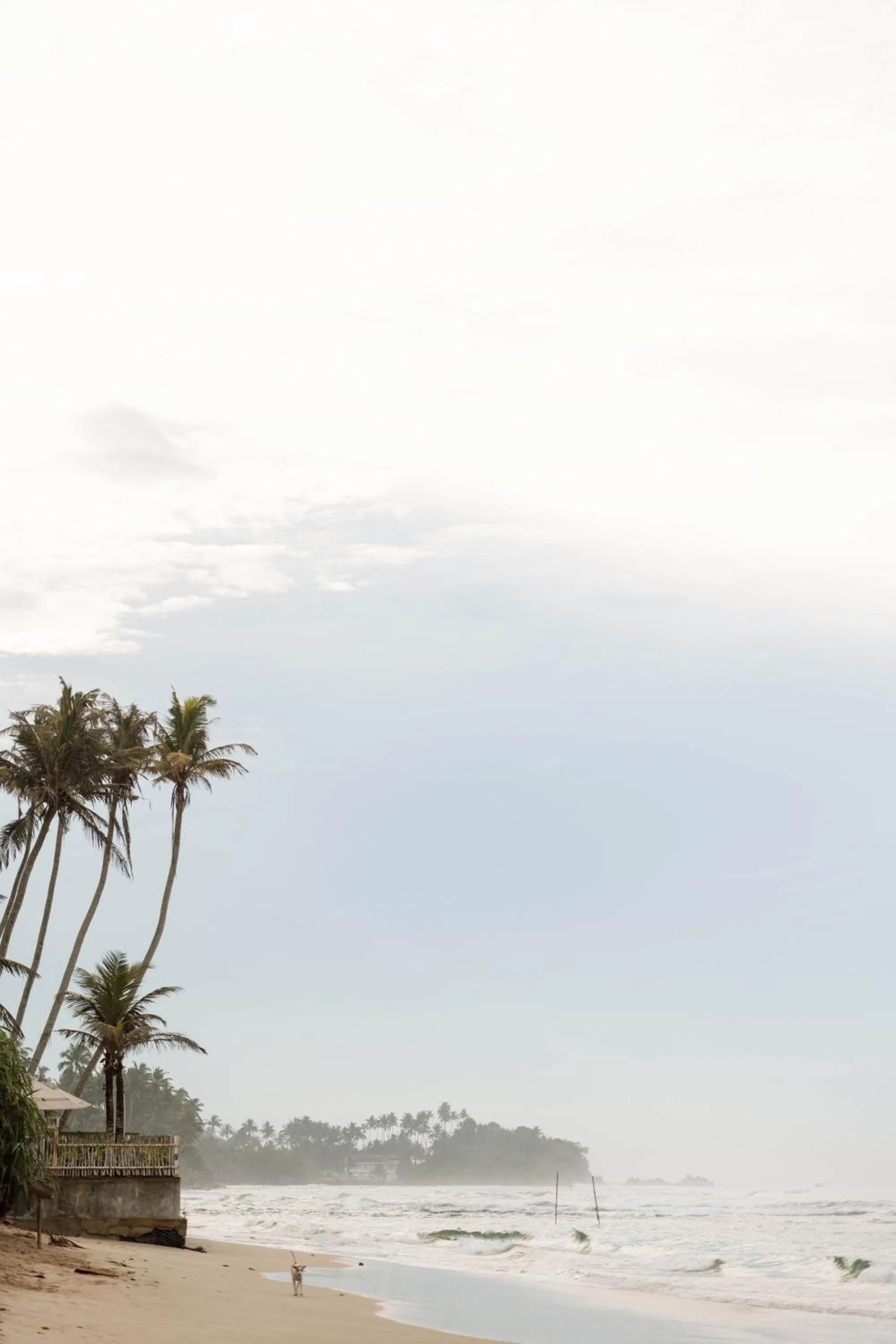 Beach in Harding Boutique Hotel