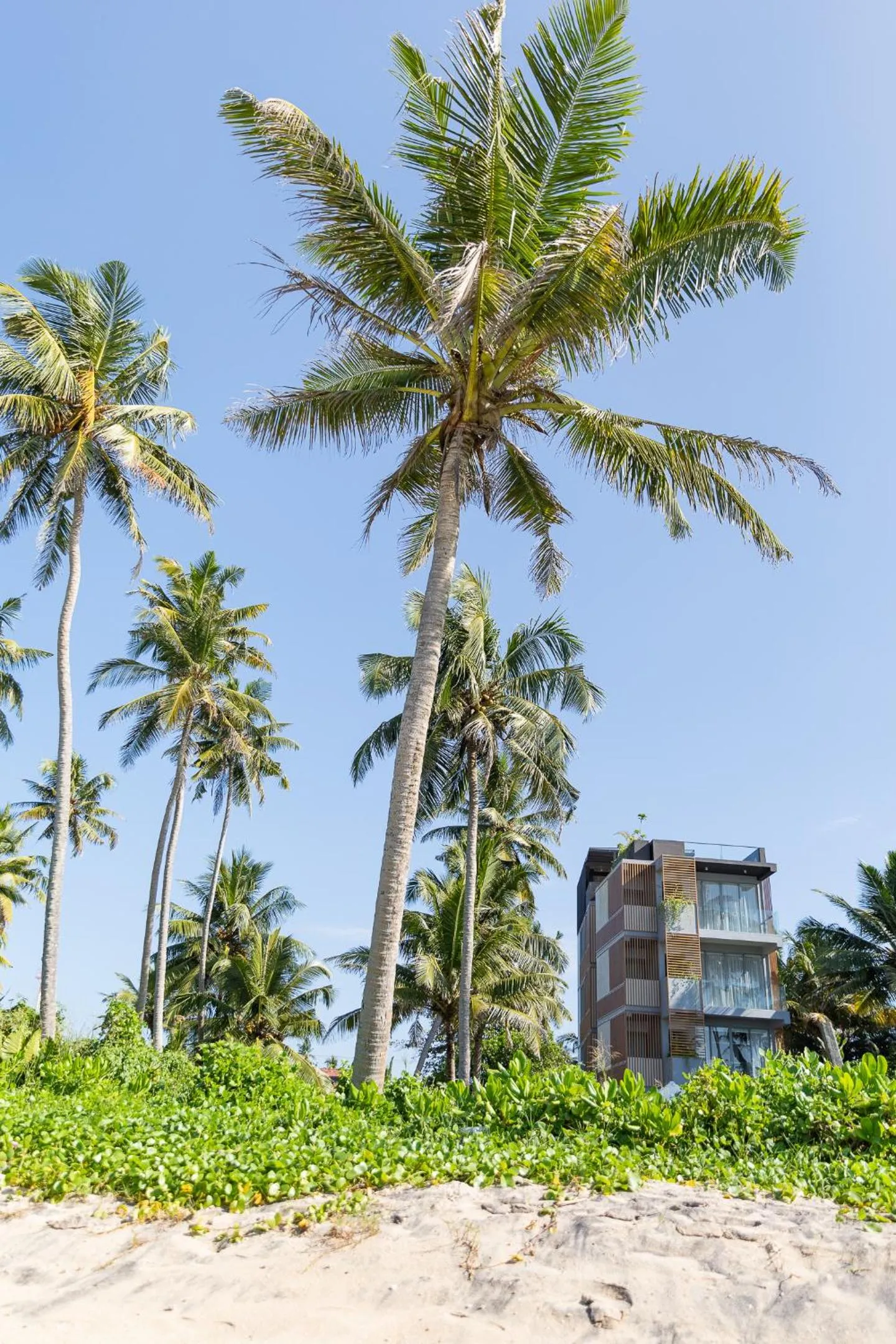 Beach in Harding Boutique Hotel
