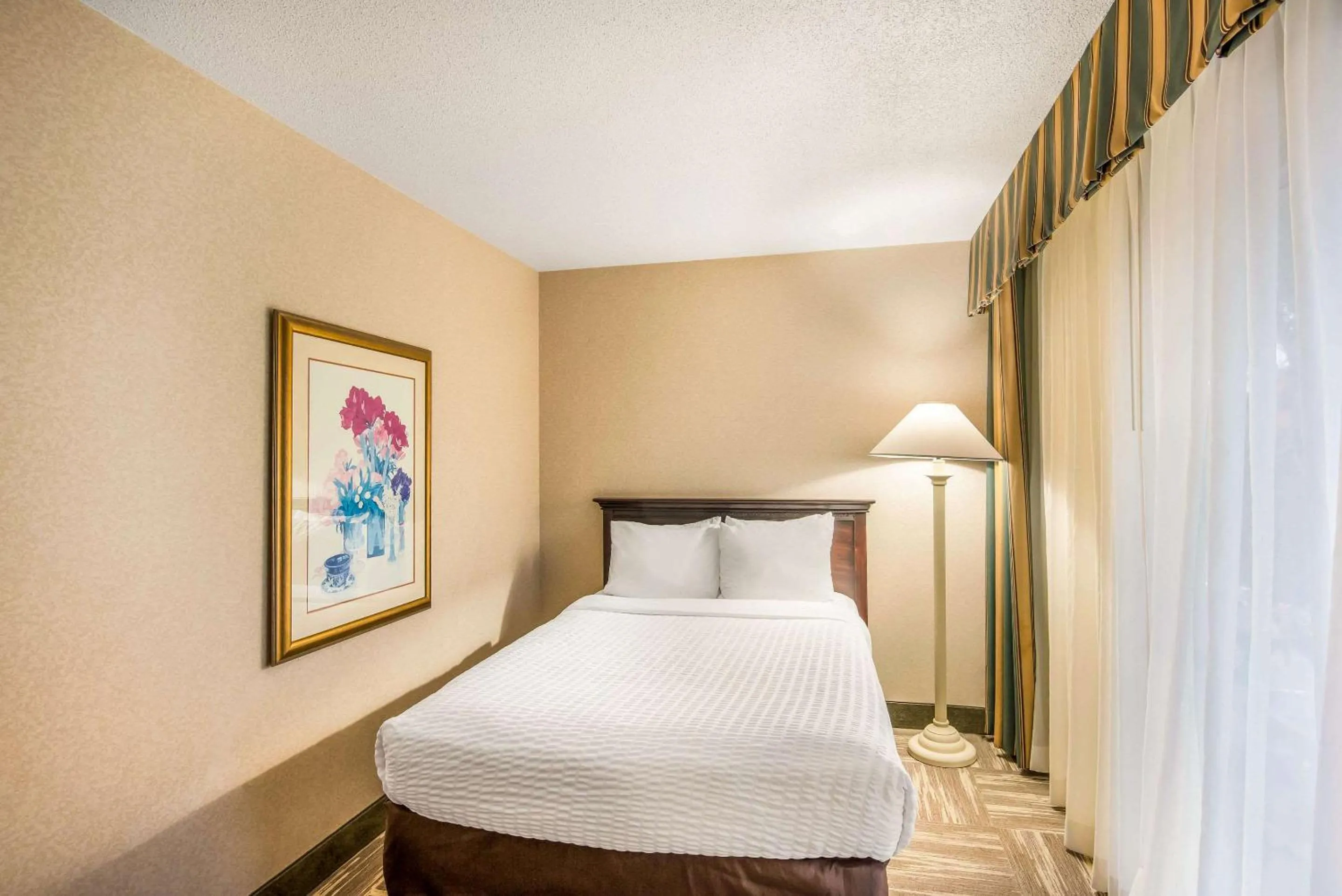Bedroom, Bed in Clarion Inn Grand Junction Airport
